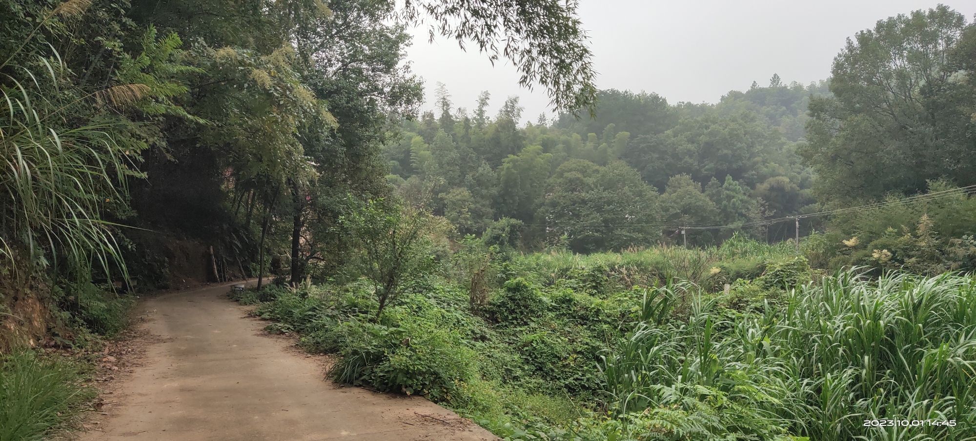 戴聘公祠旅行图片 2