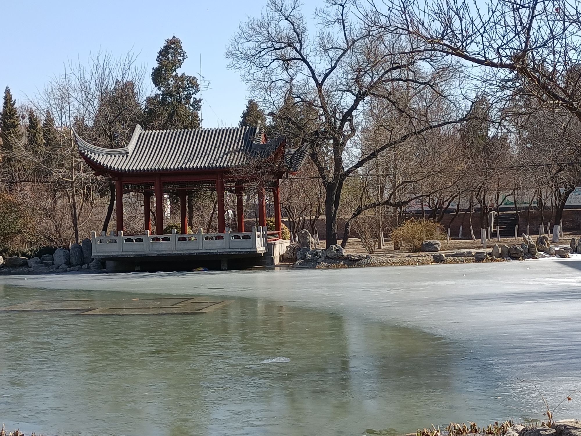 河北农业大学-莲花池旅行图片 2