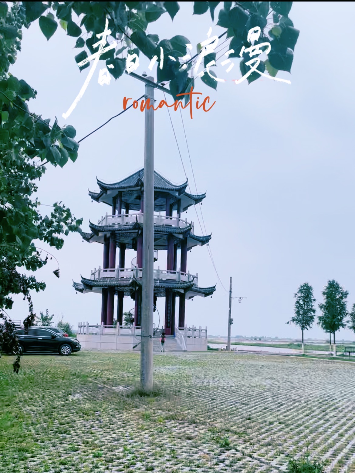 崇湖国家湿地公园旅行图片 3