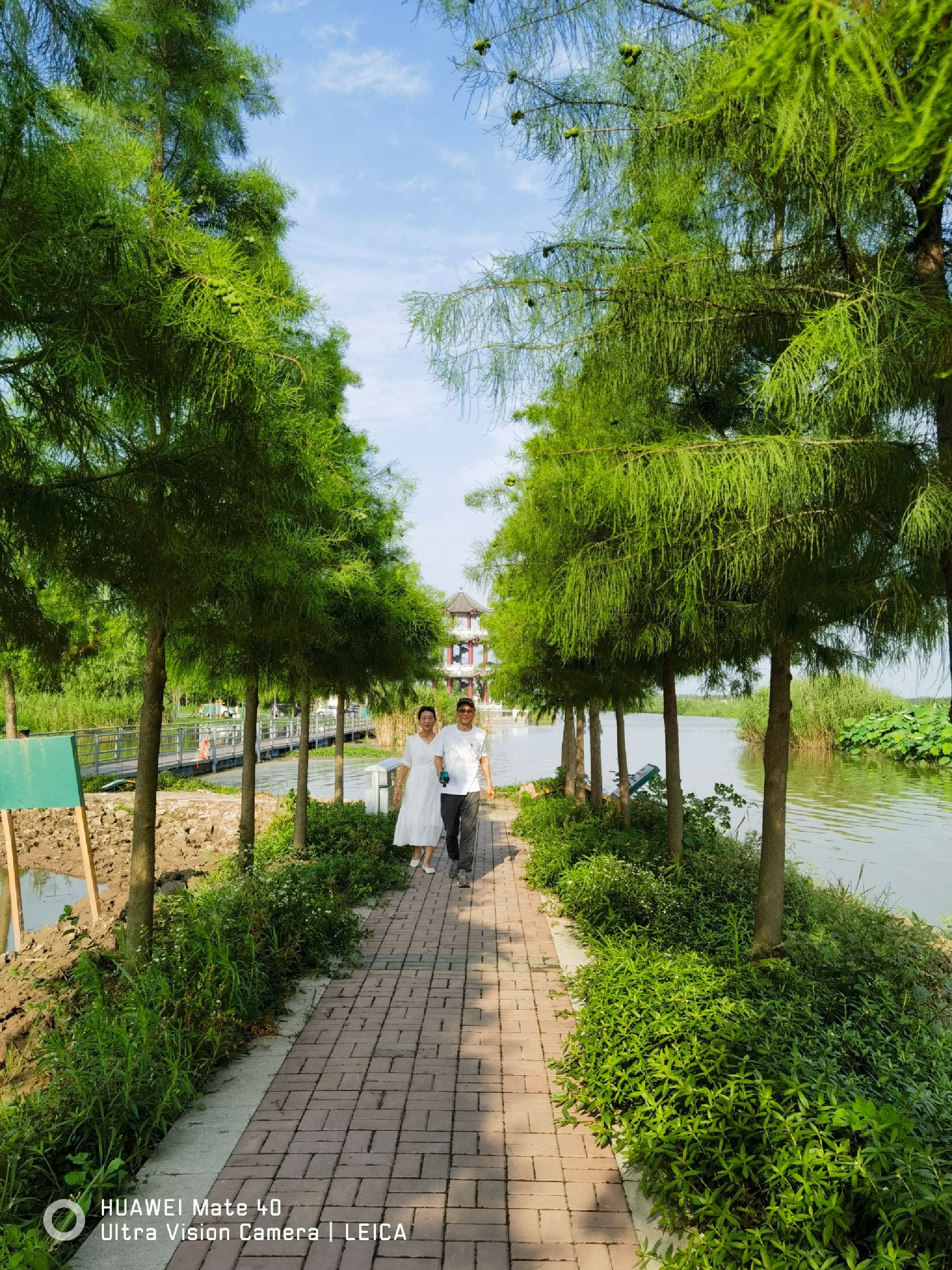 崇湖国家湿地公园旅行图片 1