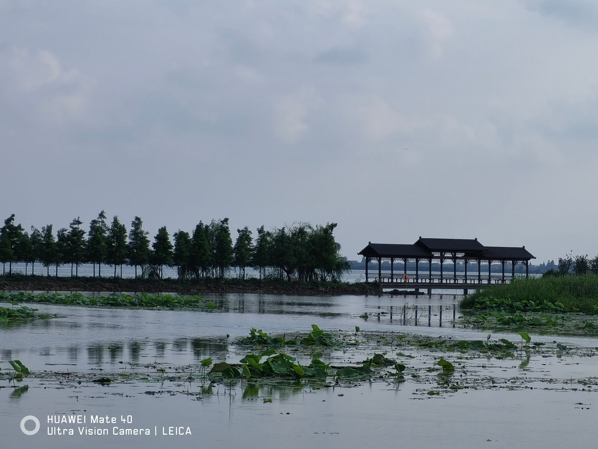 崇湖国家湿地公园旅行图片 3