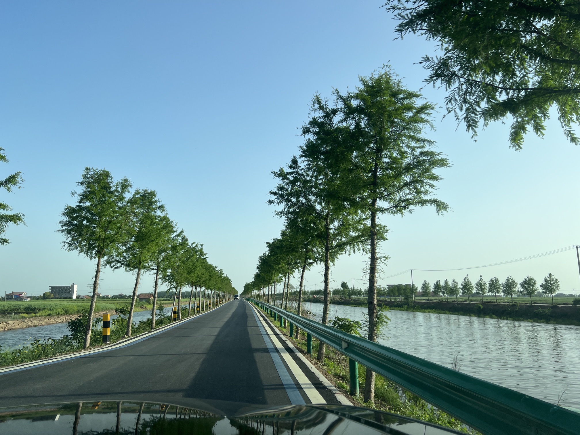 崇湖国家湿地公园旅行图片 3