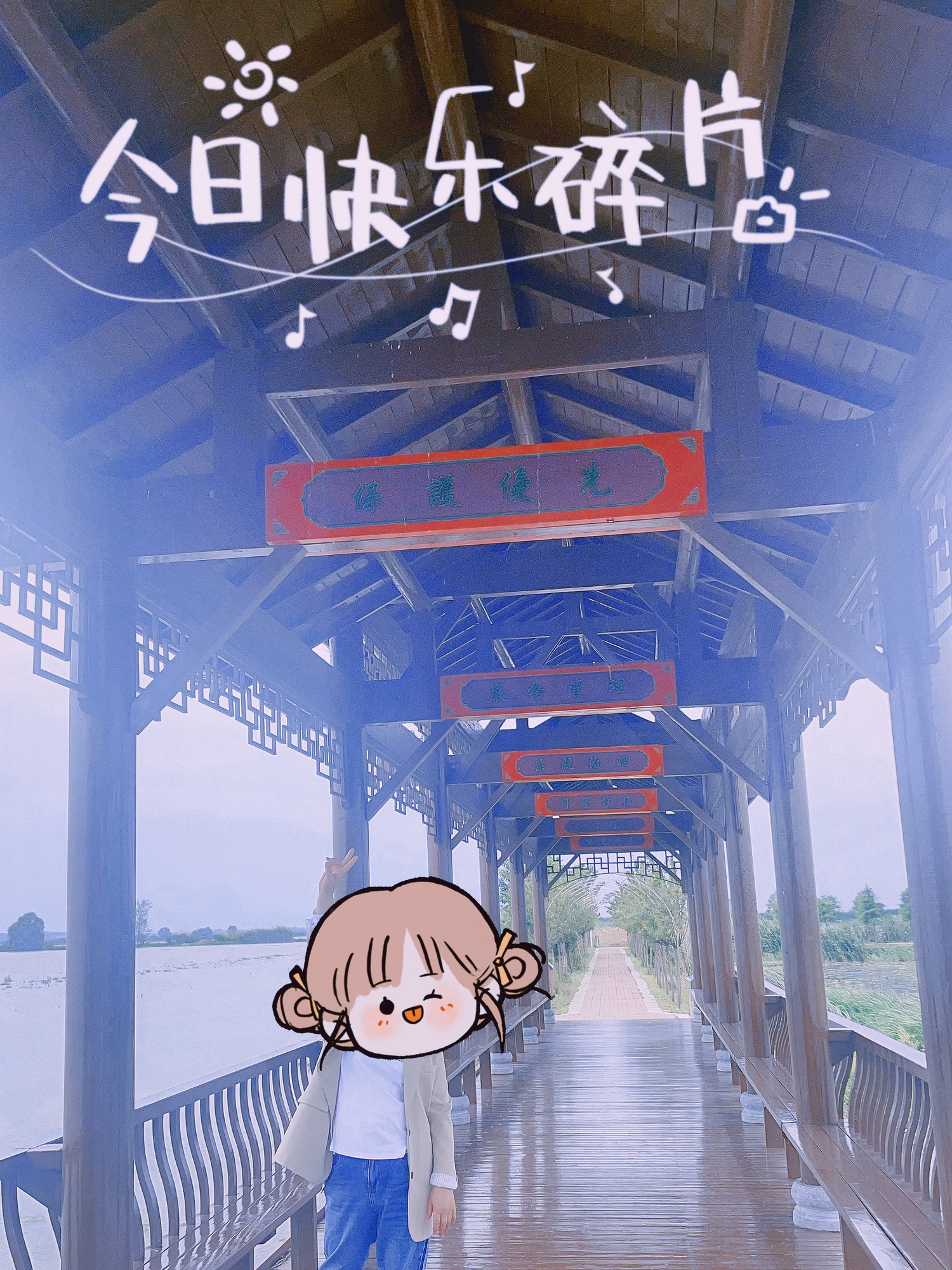 崇湖国家湿地公园旅行图片 2