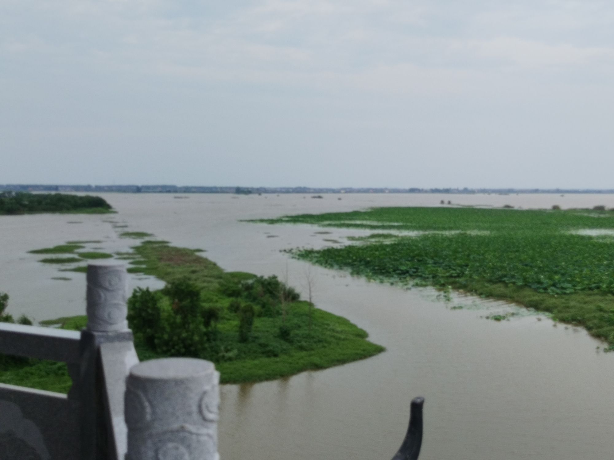 崇湖国家湿地公园旅行图片 3