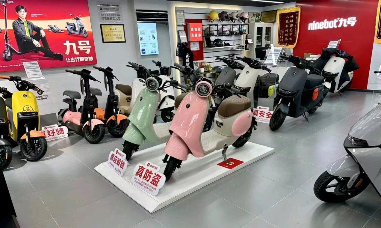 九号电动车(电白水东店)