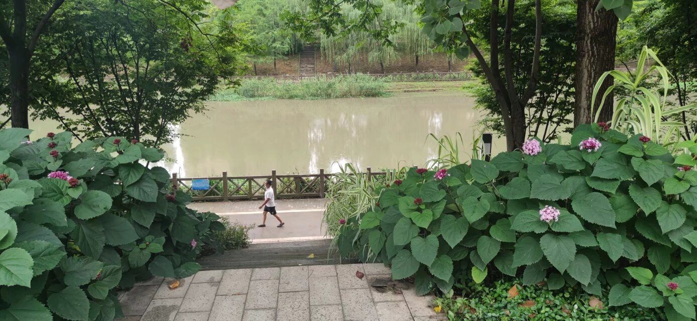 罗家港绿道公园旅行图片 3