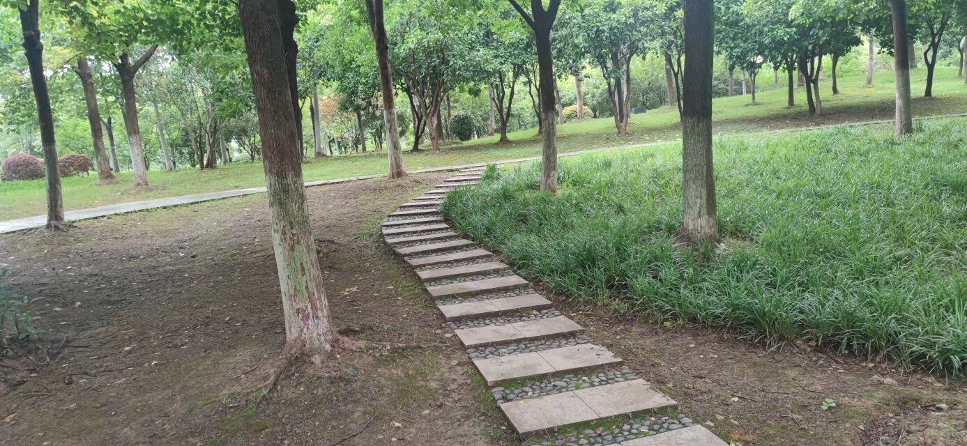 罗家港绿道公园旅行图片 2