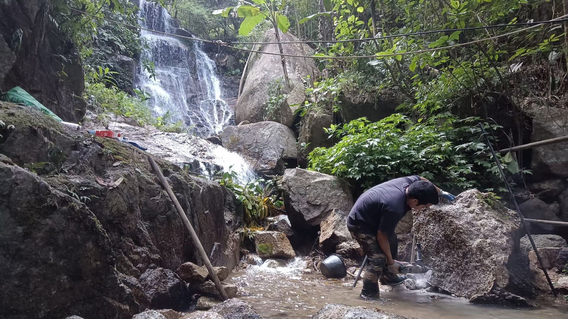 公安镇江台村樟树林公园旅行图片 1