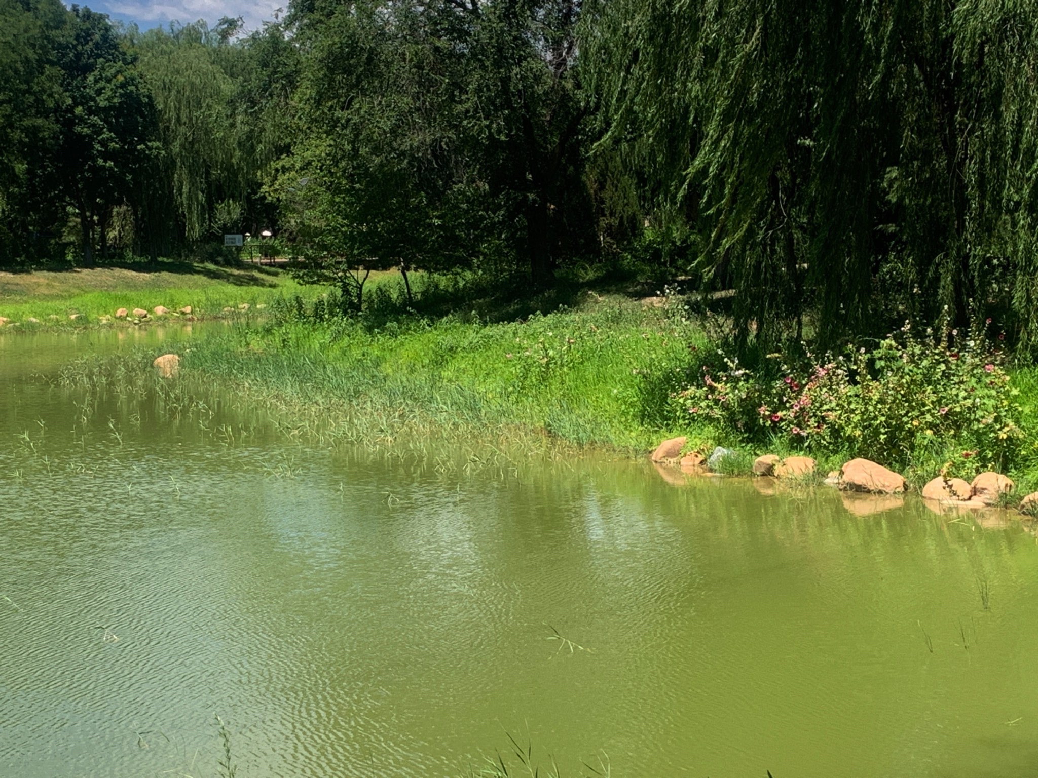 生态岛
