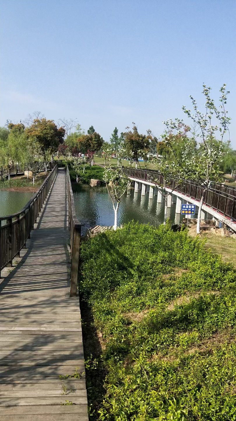 三山湖公园旅行图片 3