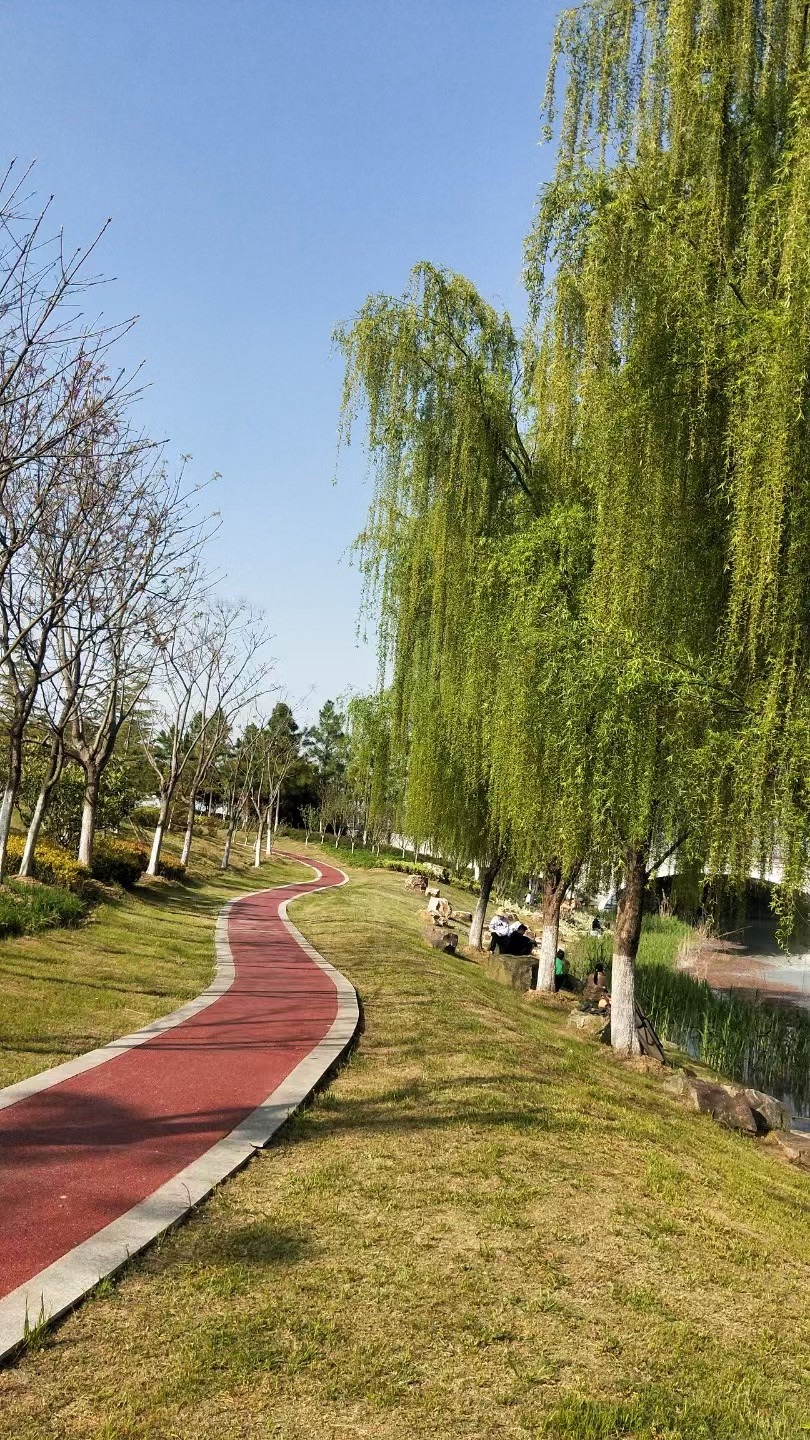三山湖公园旅行图片 2