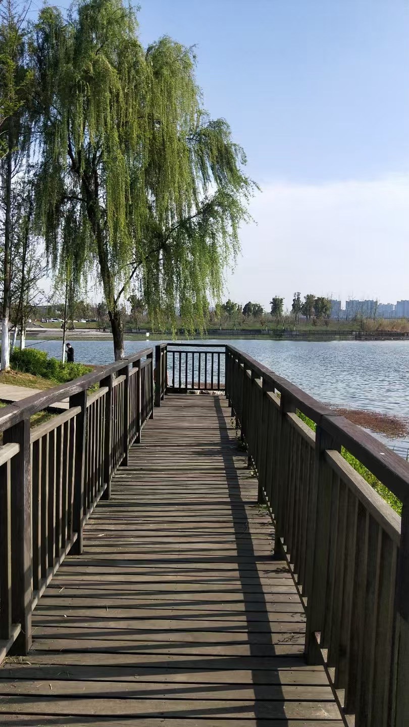 三山湖公园旅行图片 1