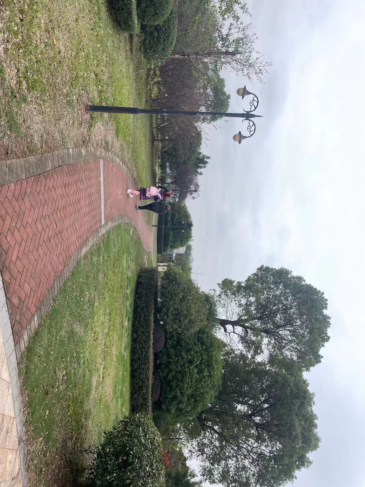 南昌大学(前湖校区)-胡先骕像旅行图片 3