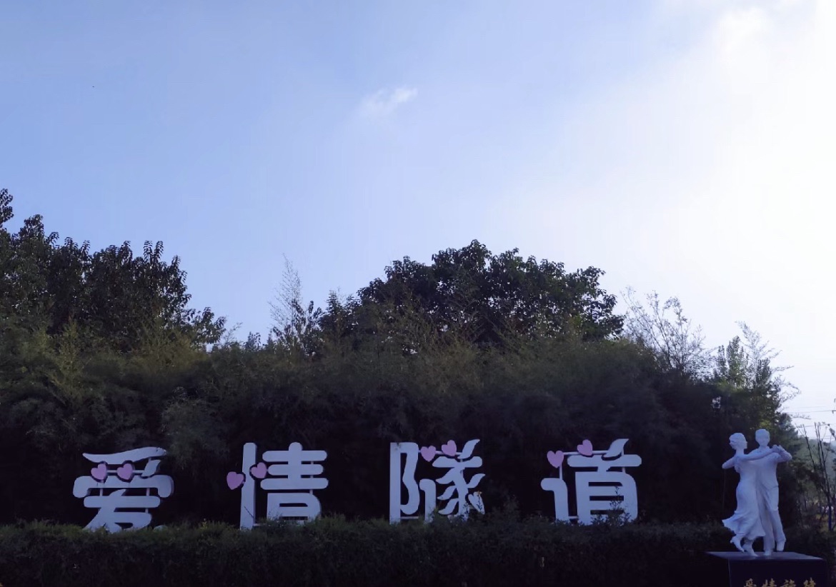 桥头集爱情隧道旅行图片 2