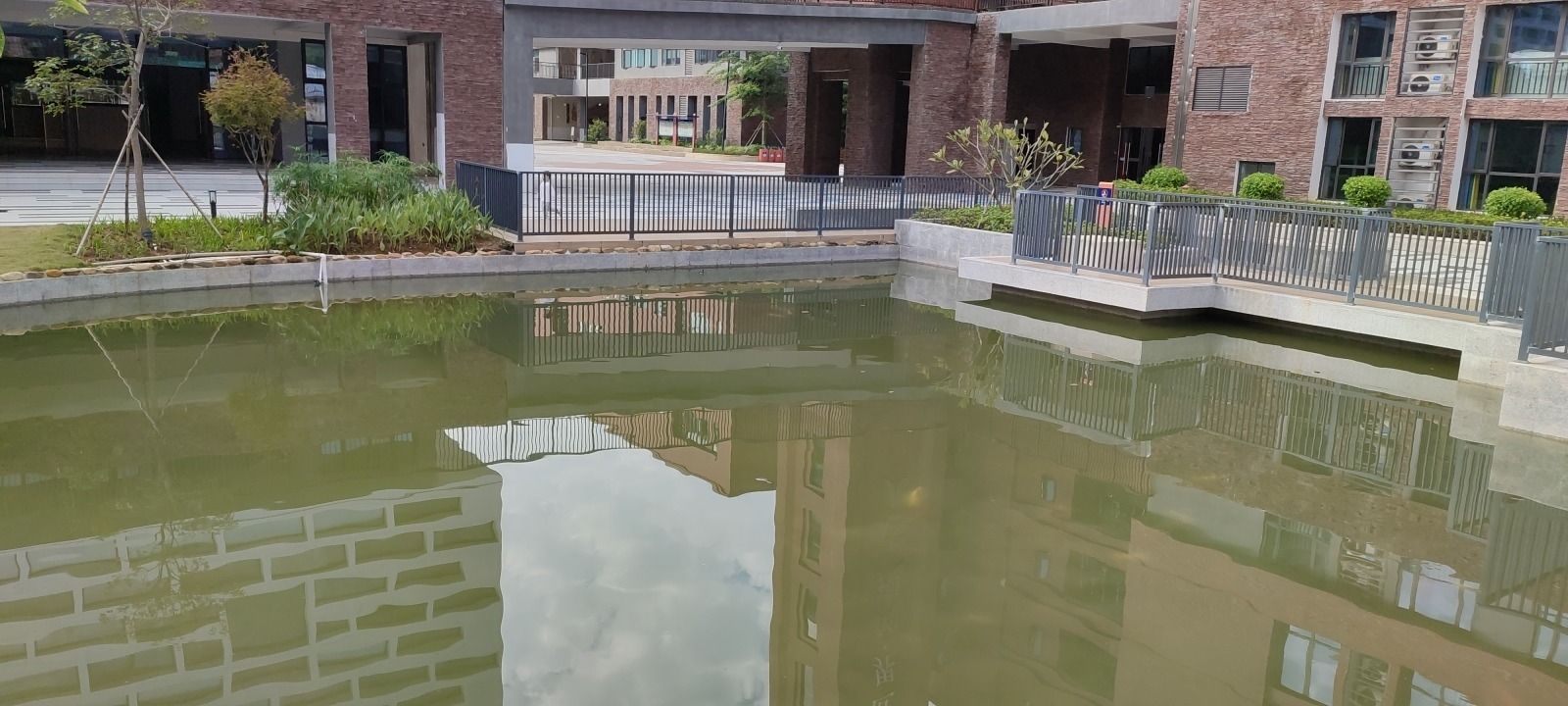 梅州市外语实验学校