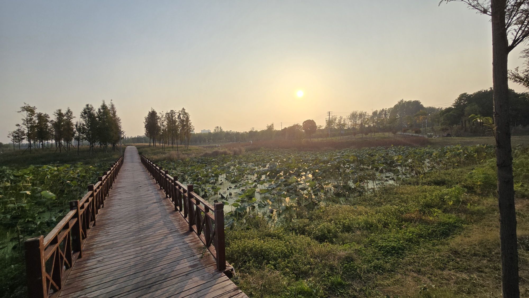 南阳市溧河湿地公园