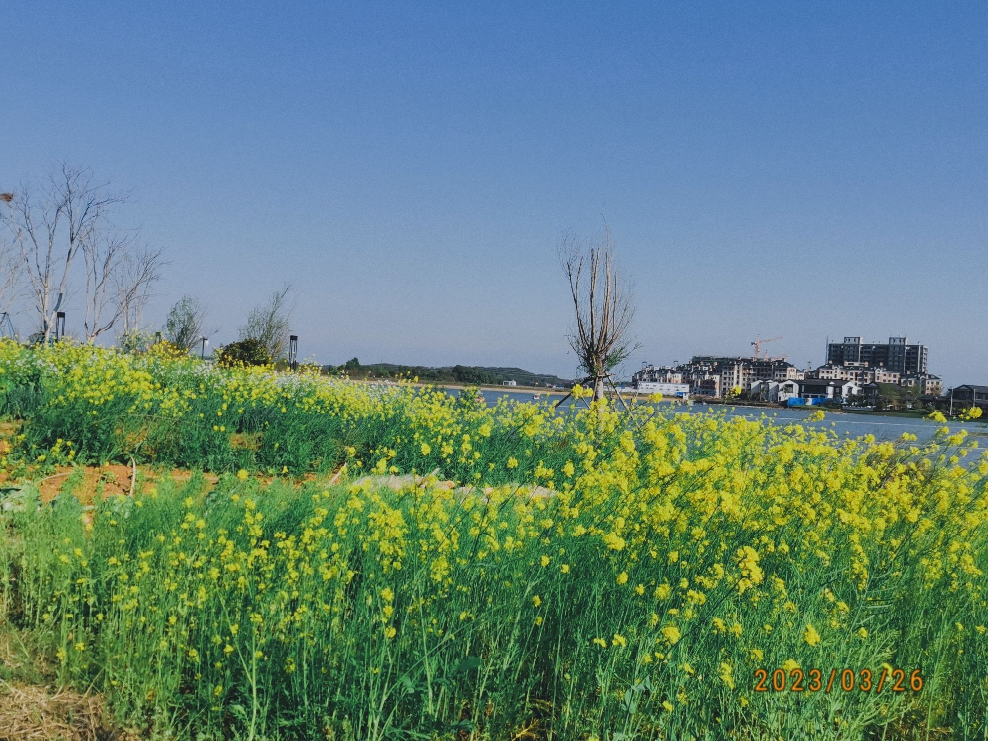 江西桃花源旅游度假区旅行图片 1