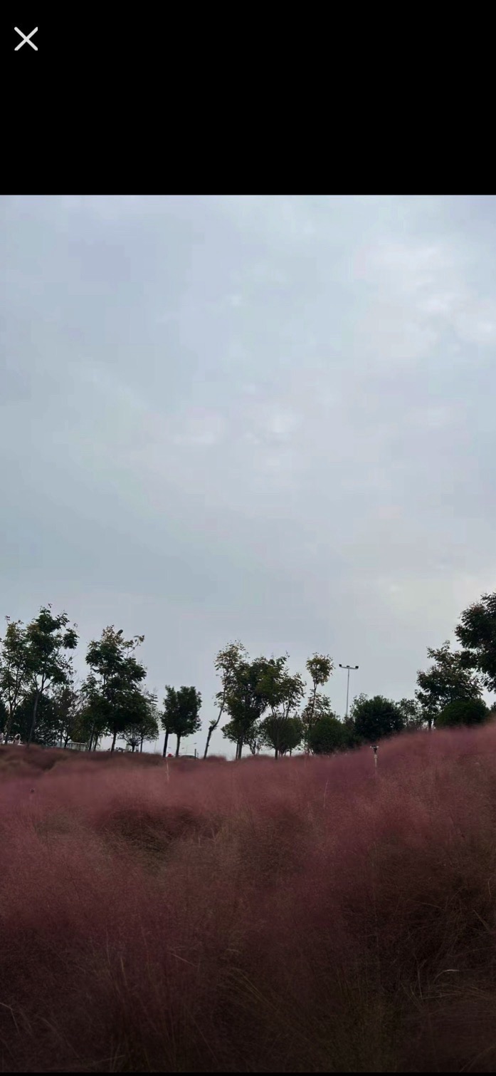 㶏溪湿地公园旅行图片 1