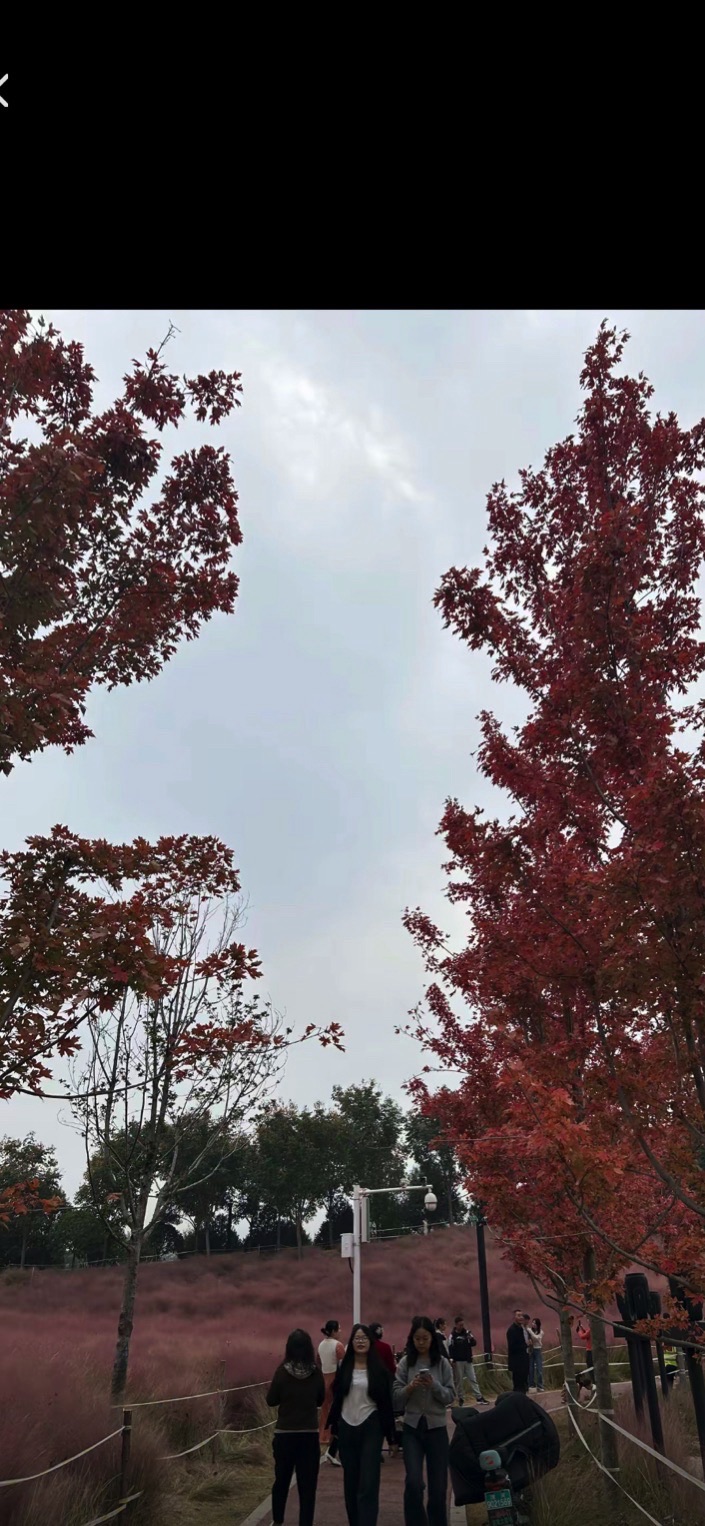 㶏溪湿地公园旅行图片 2