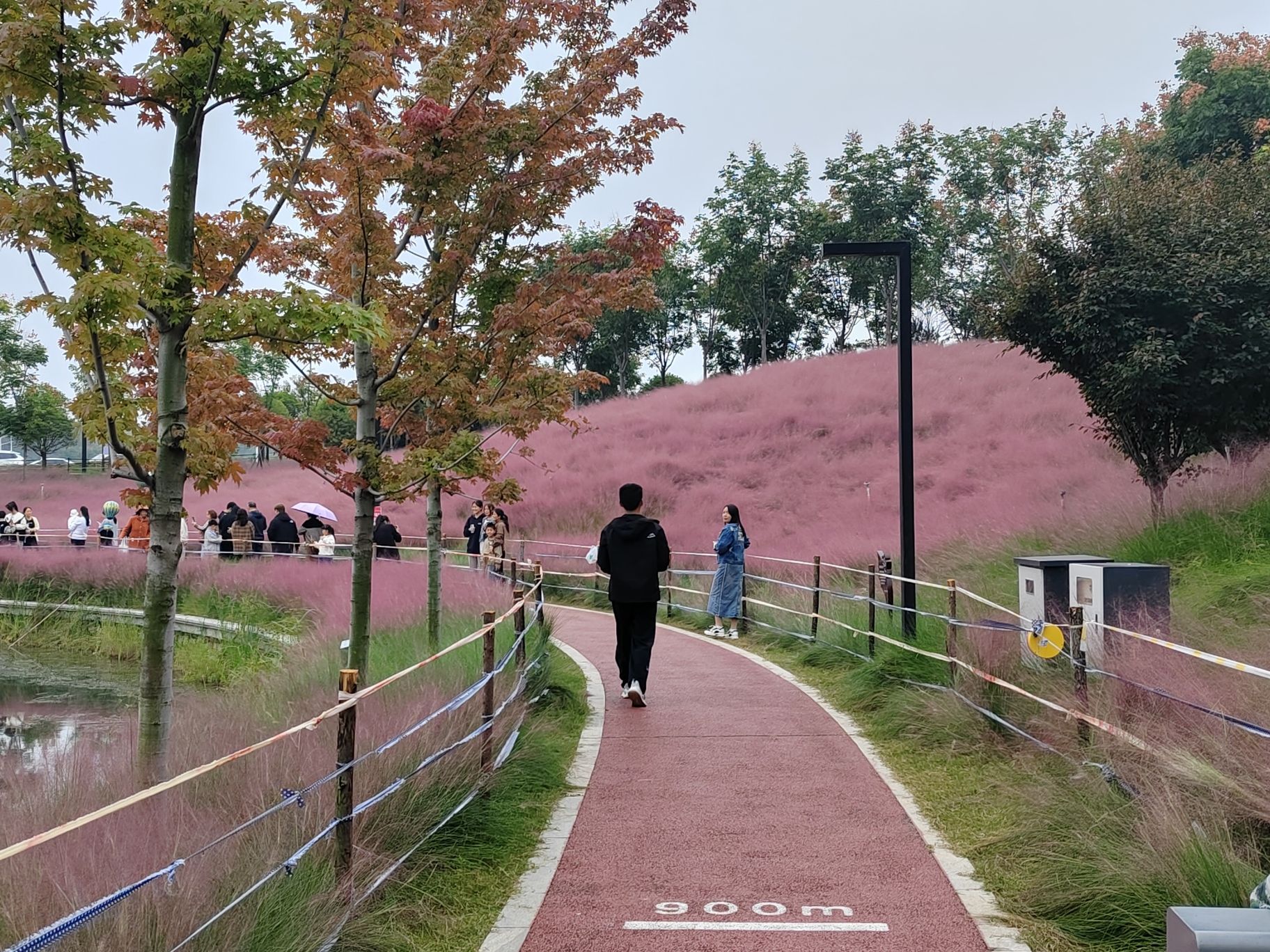 㶏溪湿地公园旅行图片 2