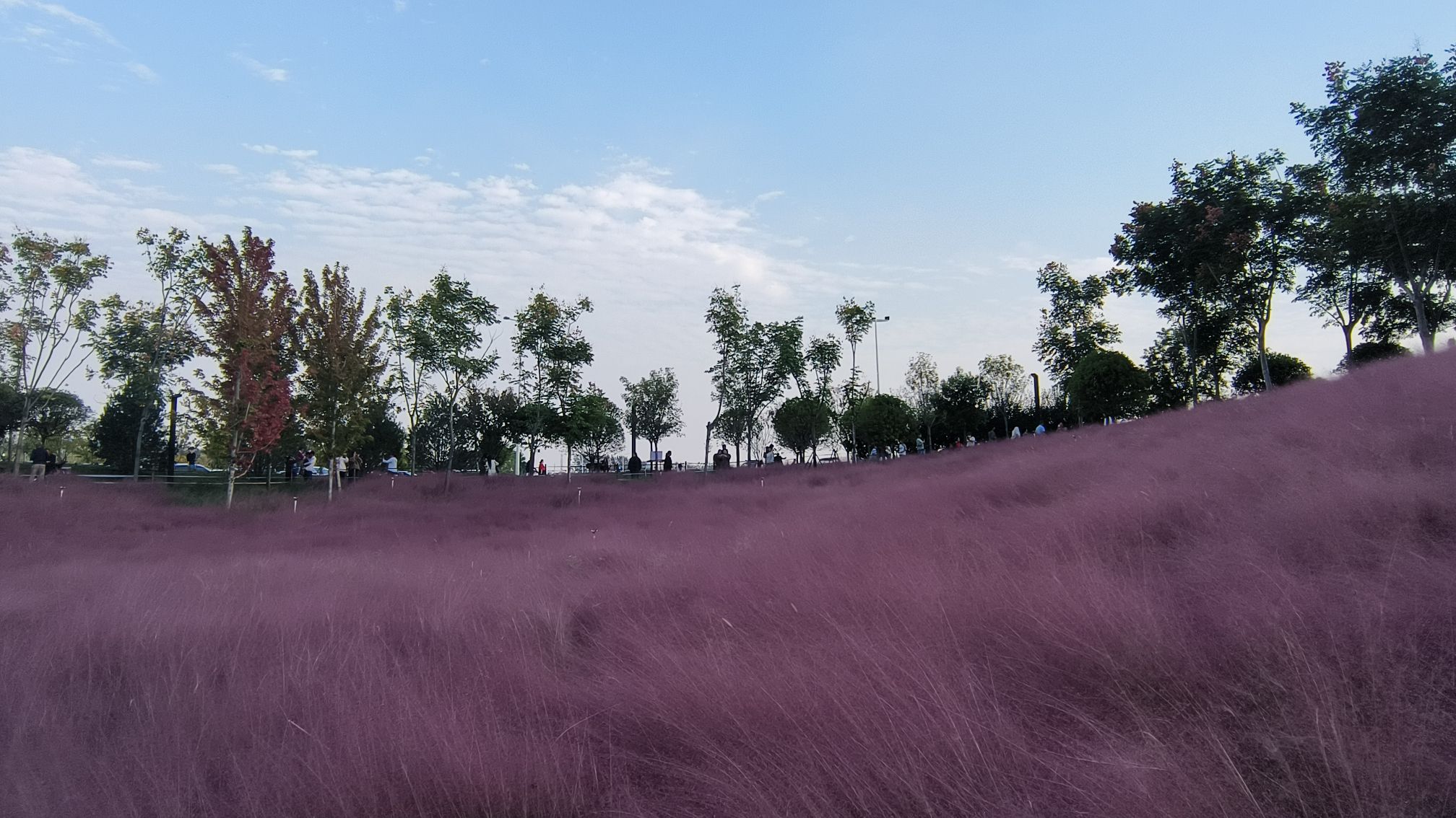 㶏溪湿地公园旅行图片 3