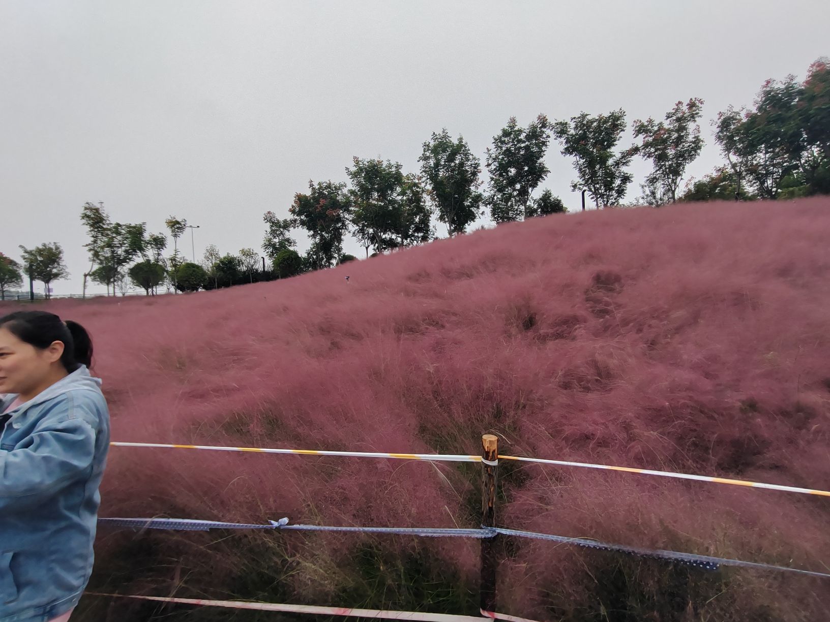 㶏溪湿地公园旅行图片 1