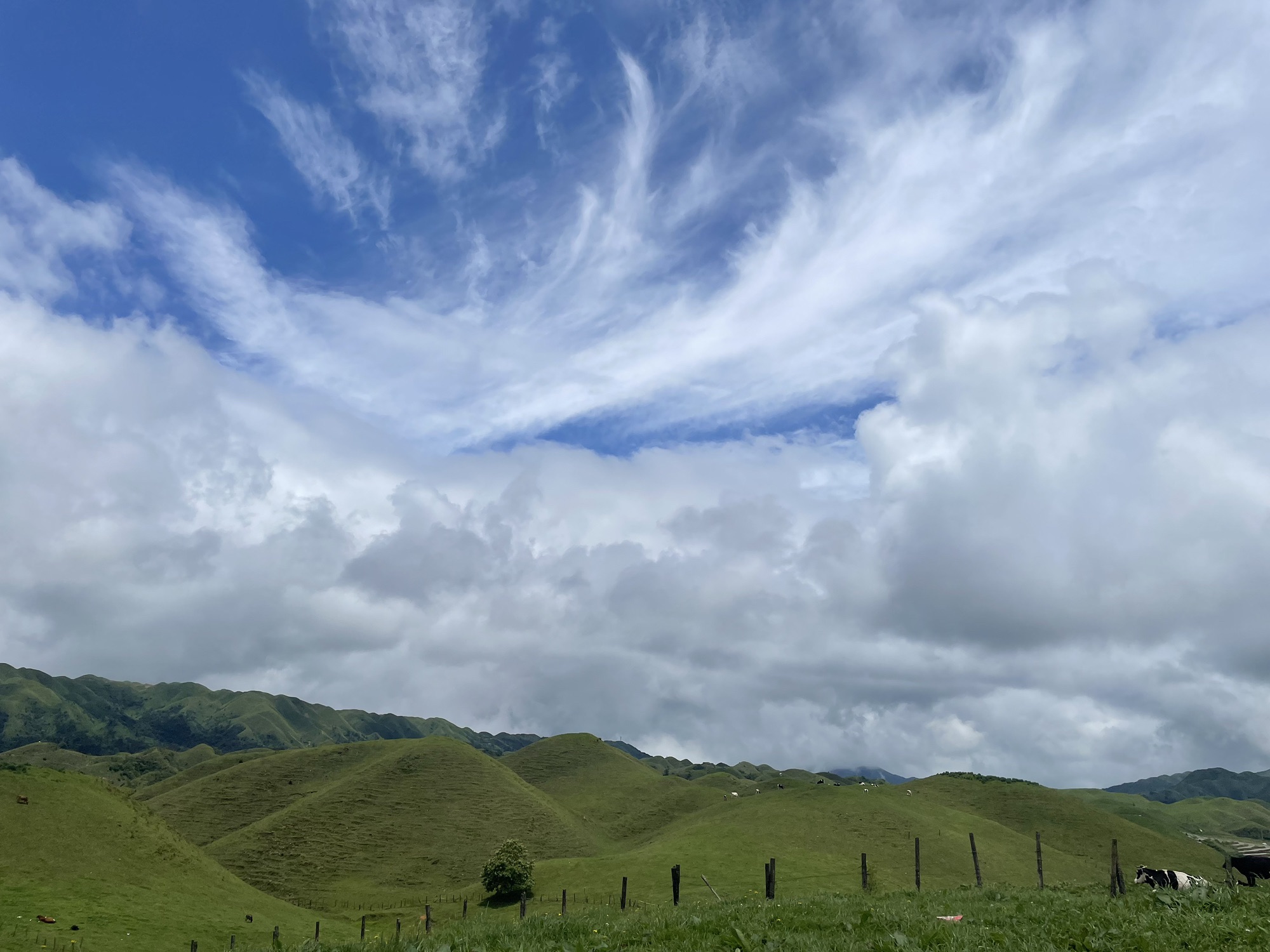南山牧场大丫口日出露营地旅行图片 3