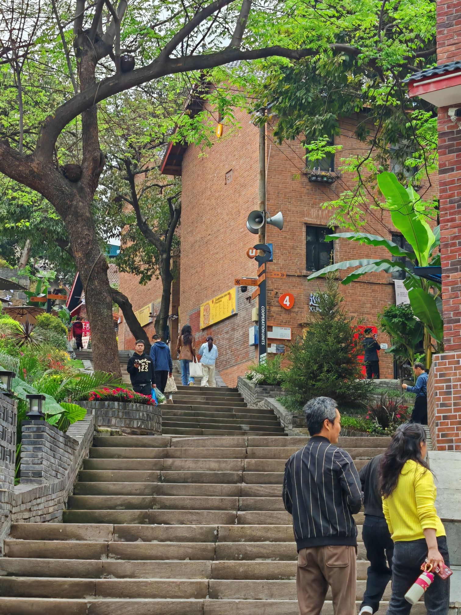 莺花巷旅行图片 3