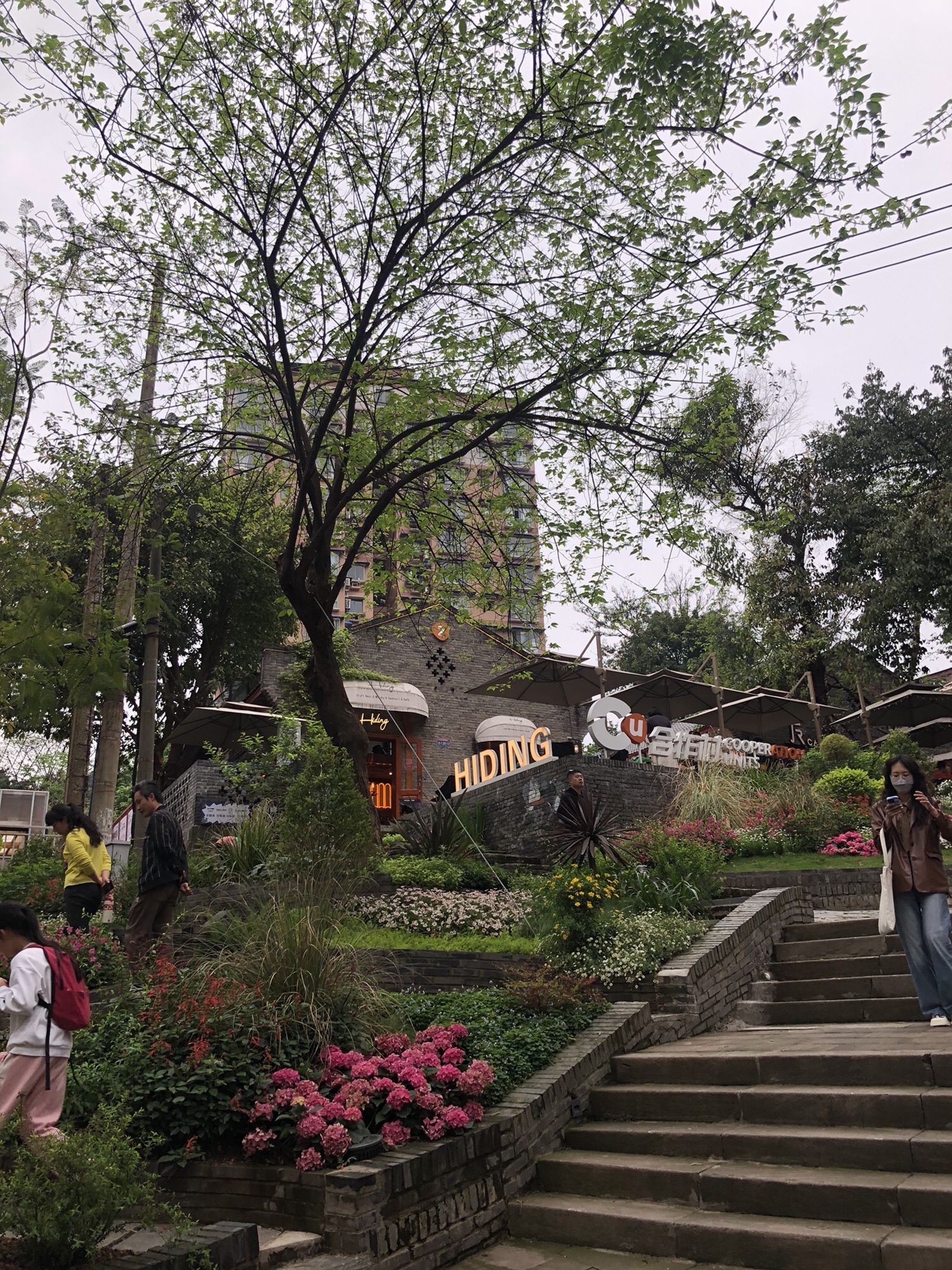 莺花巷旅行图片 2