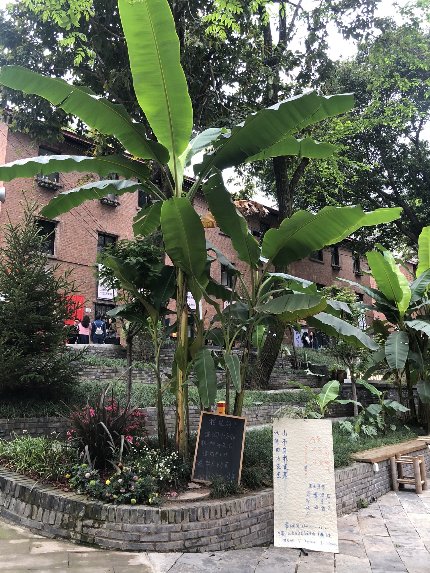 莺花巷旅行图片 3