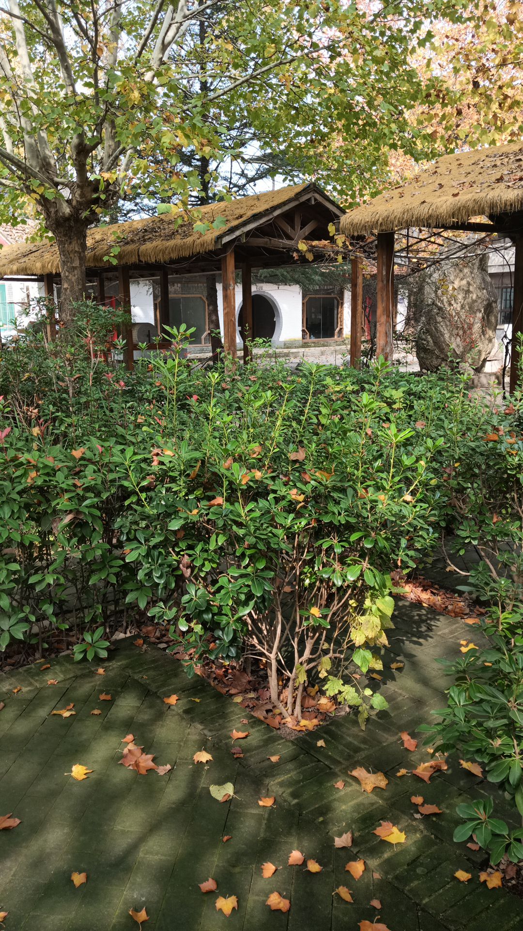 场地封面-童心谷自然营地