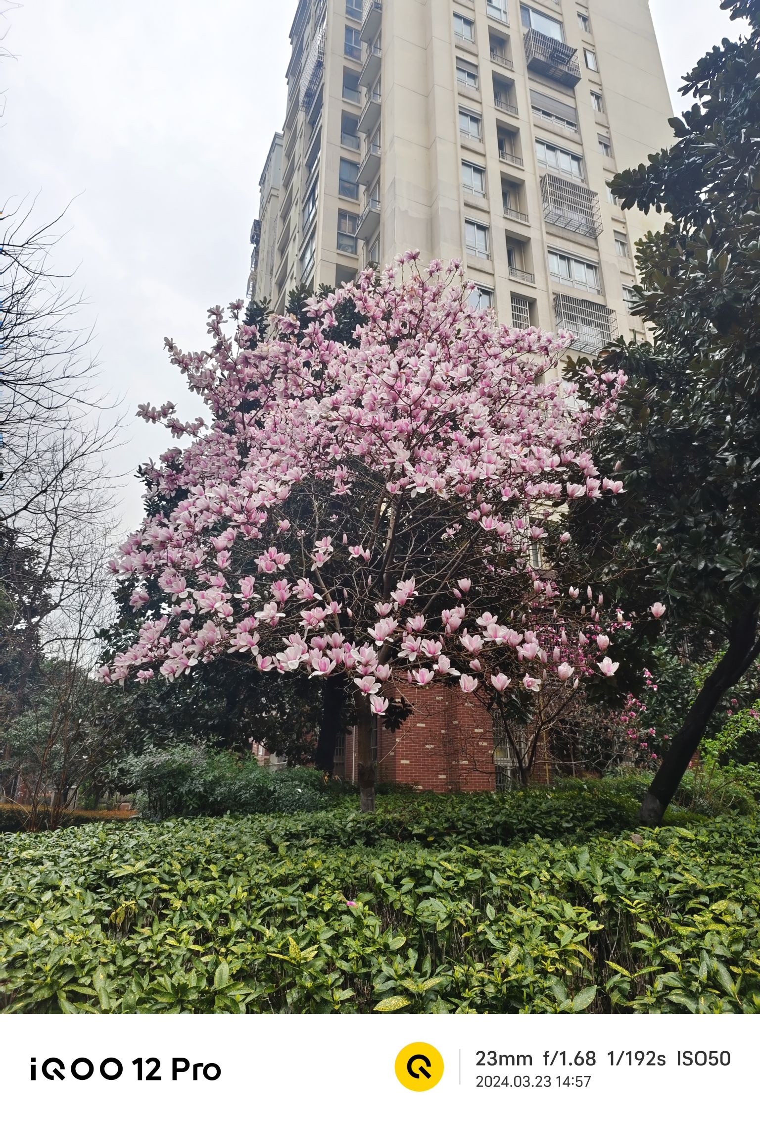 新龙生态林旅行图片 1