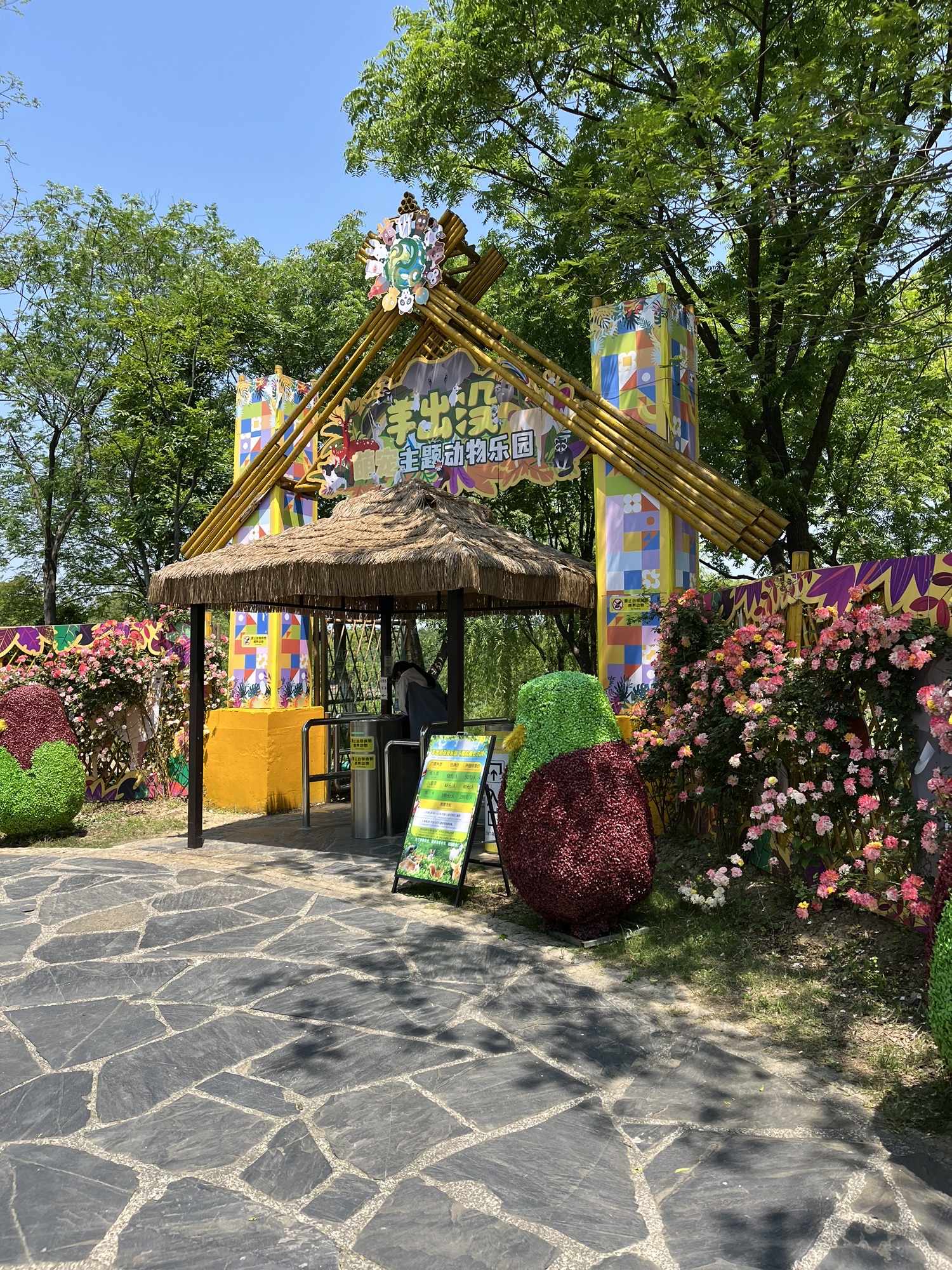 新龙生态林旅行图片 3