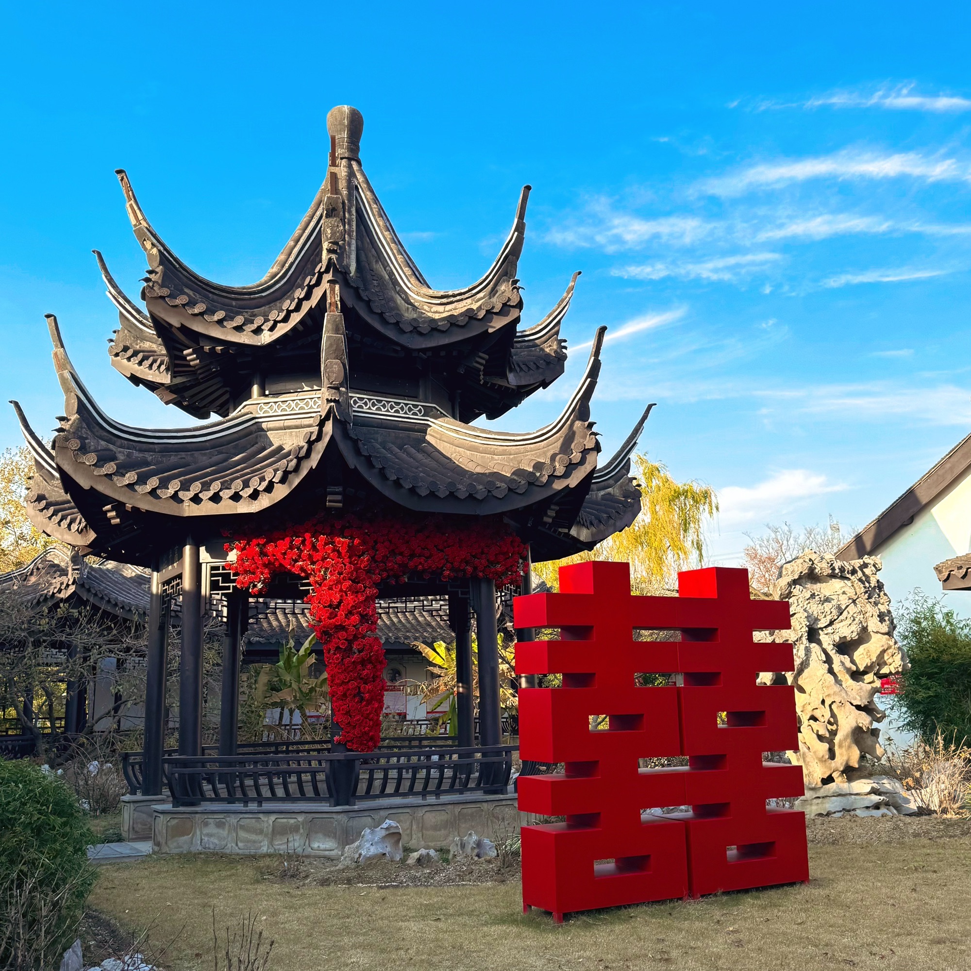 新龙生态林旅行图片 1