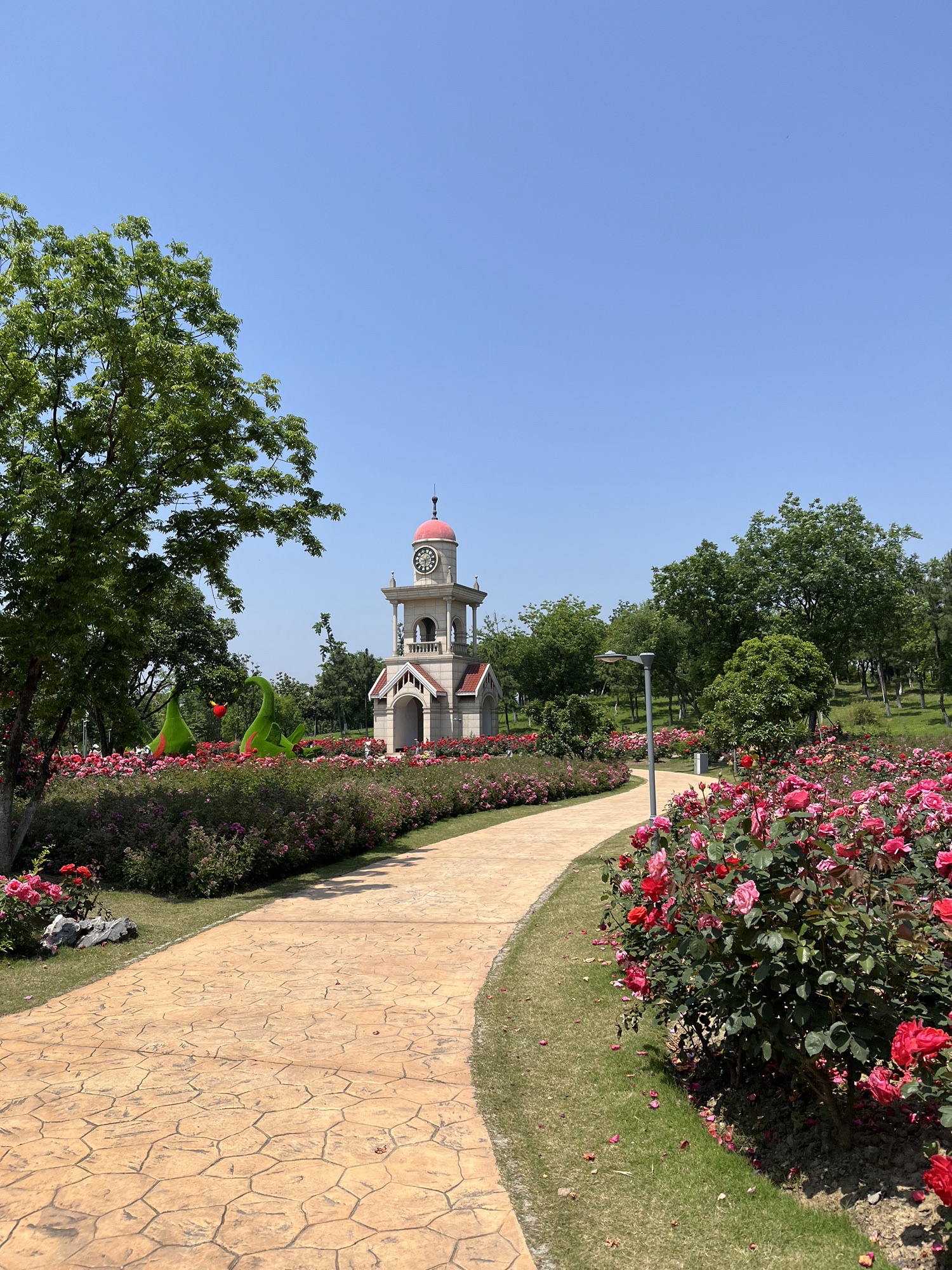 新龙生态林旅行图片 2
