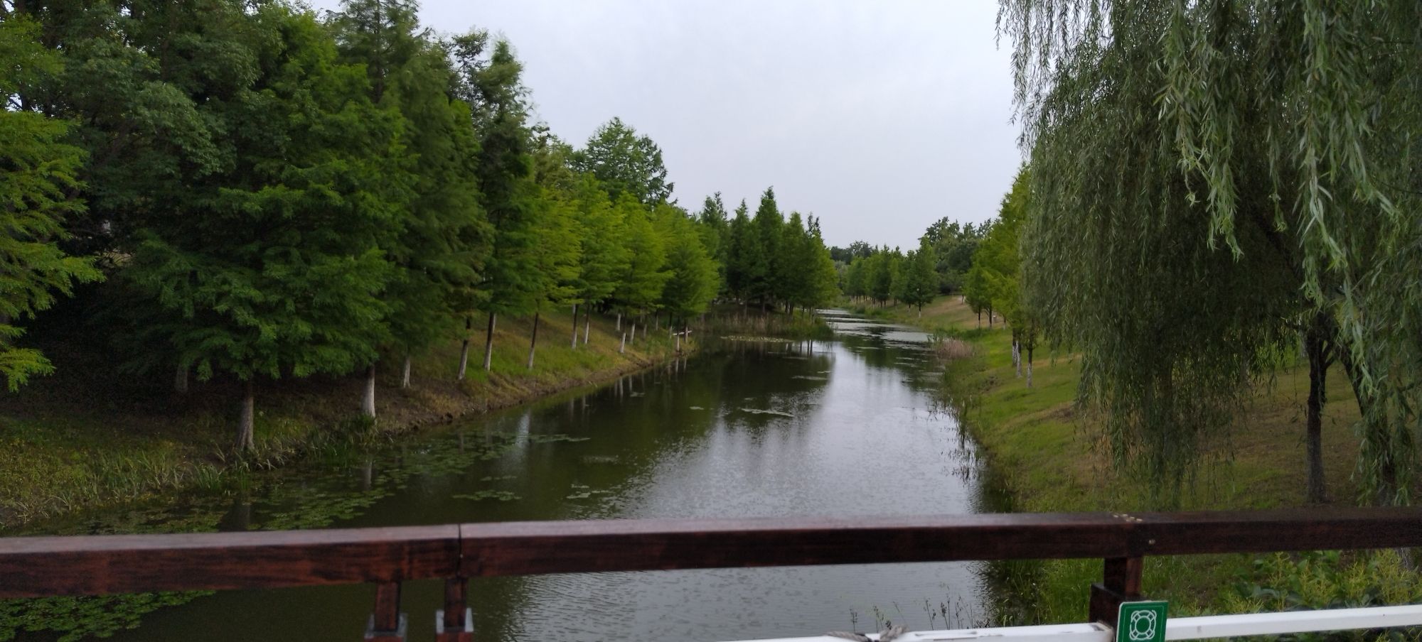 新龙生态林旅行图片 3