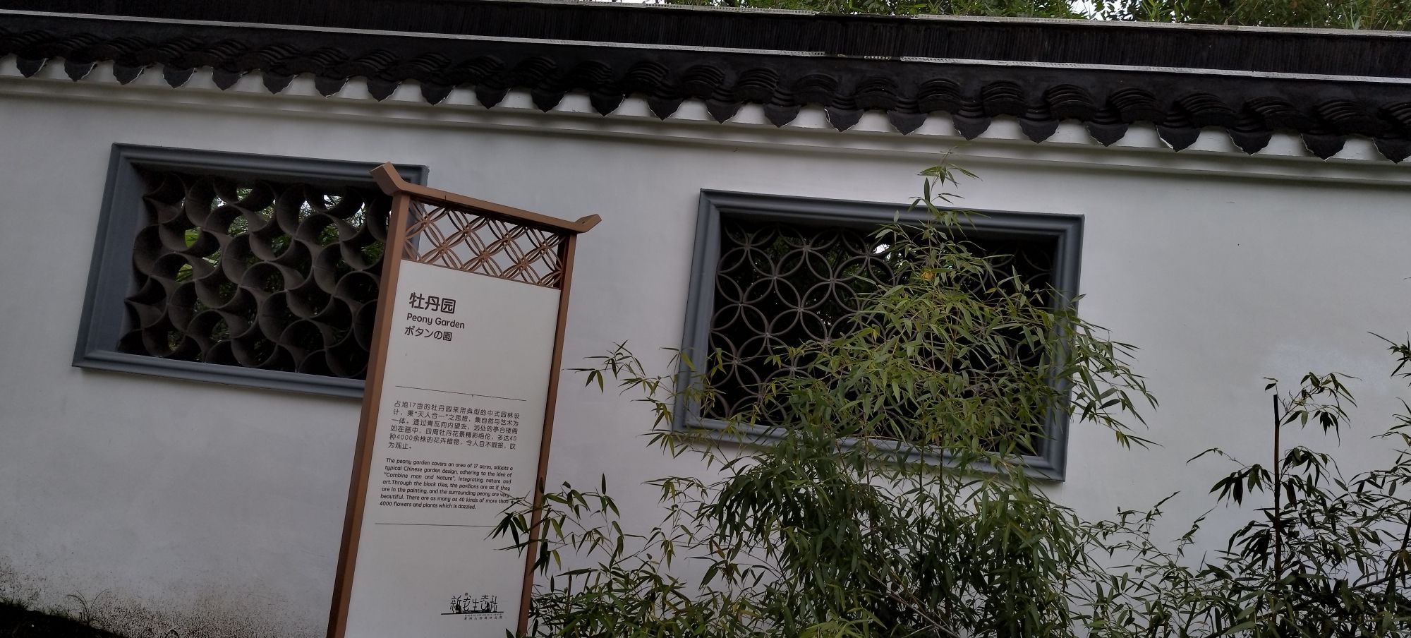 新龙生态林旅行图片 2