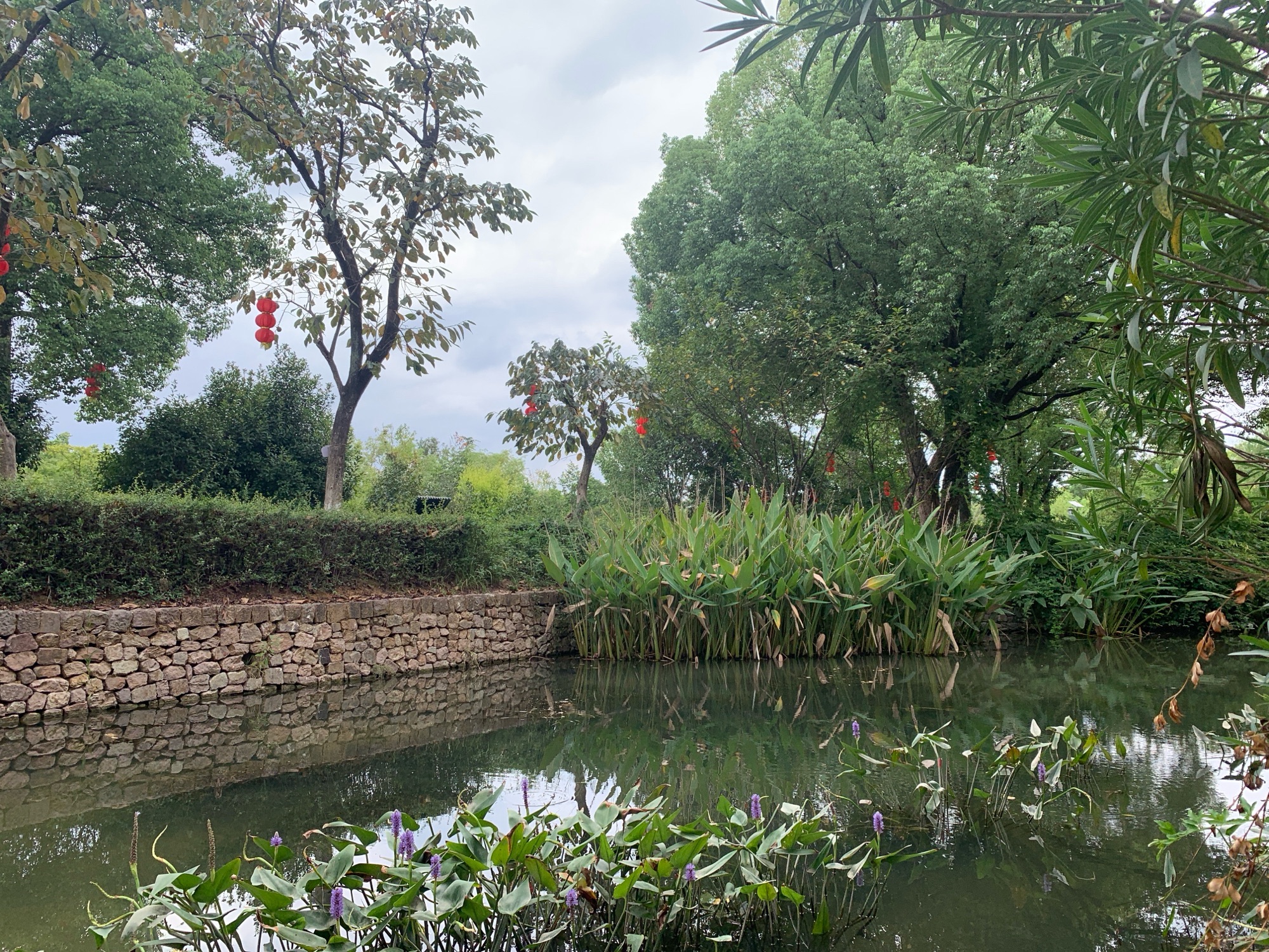 义乌横塘公园旅行图片 1