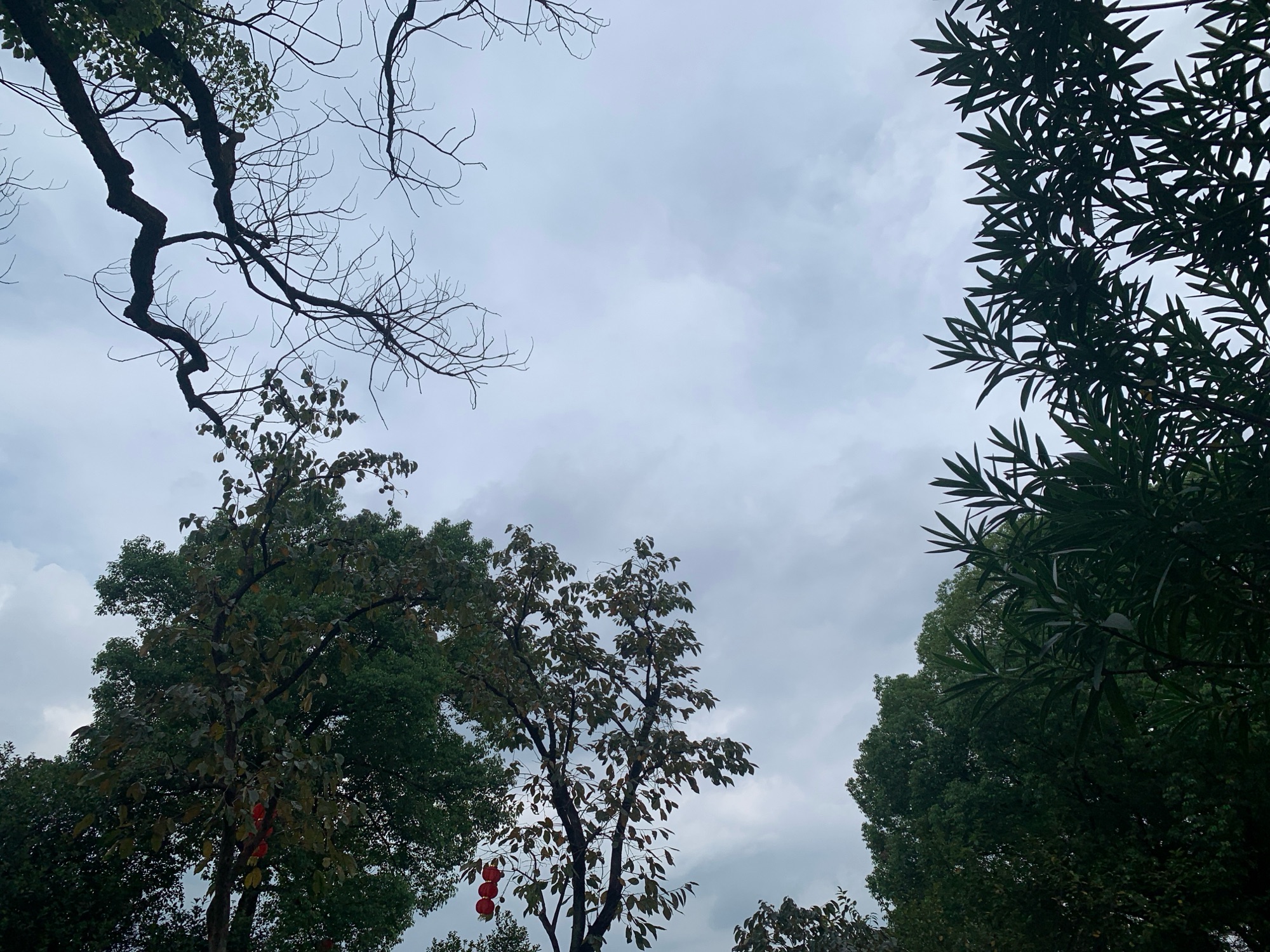 义乌横塘公园旅行图片 3