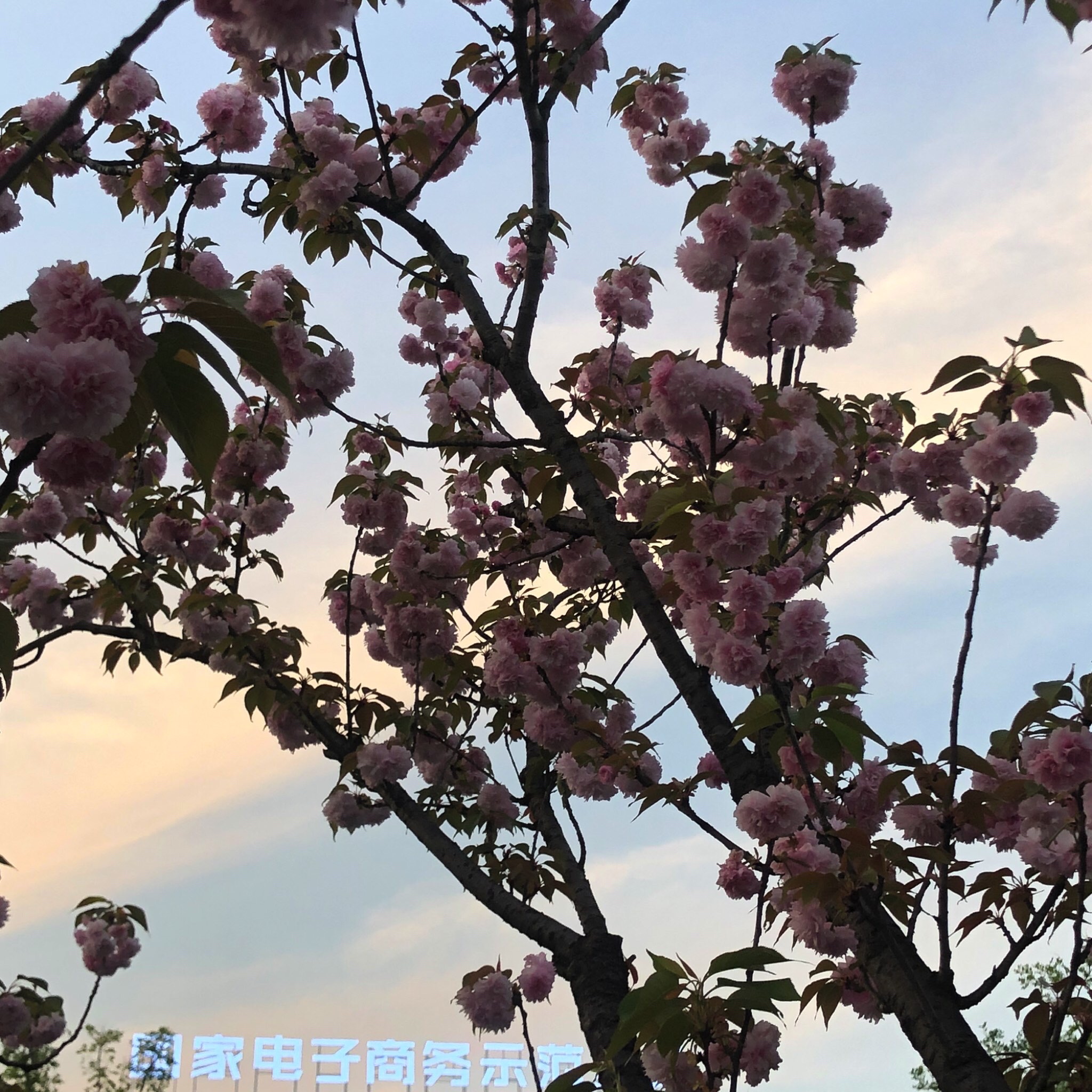 义乌横塘公园旅行图片 3