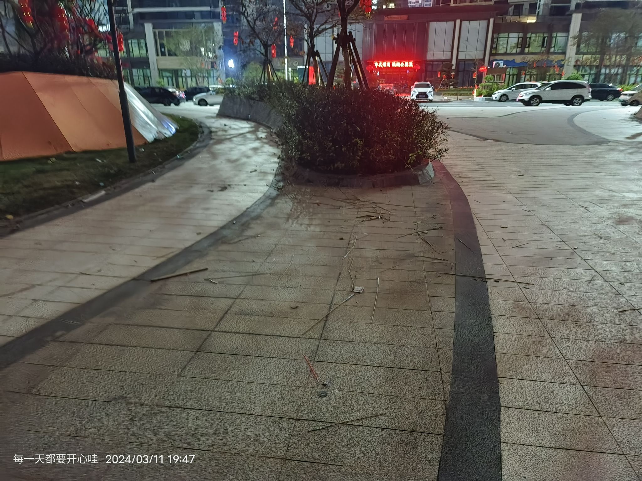 悦湖公园旅行图片 1