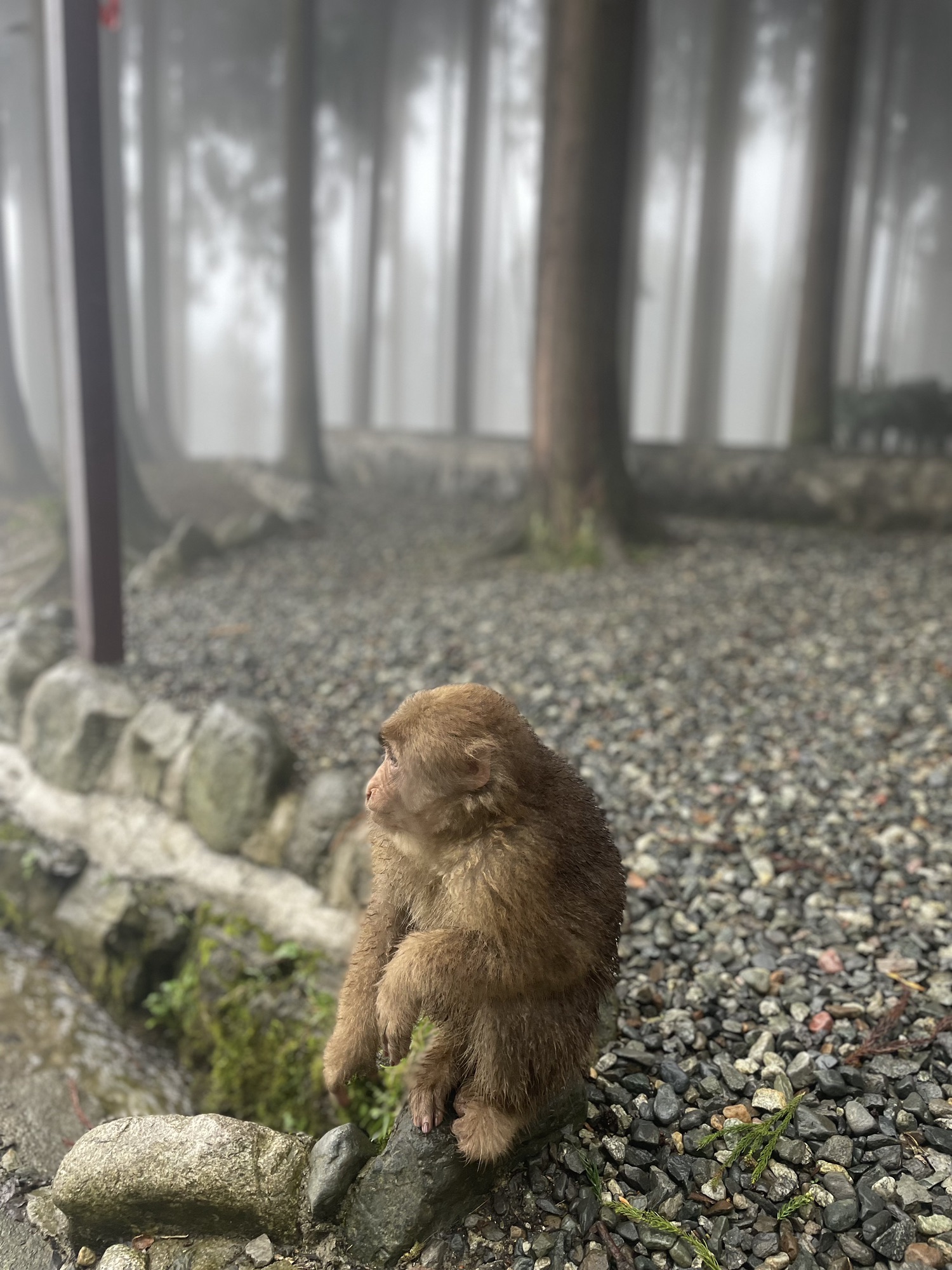 宝山旅游景区旅行图片 2