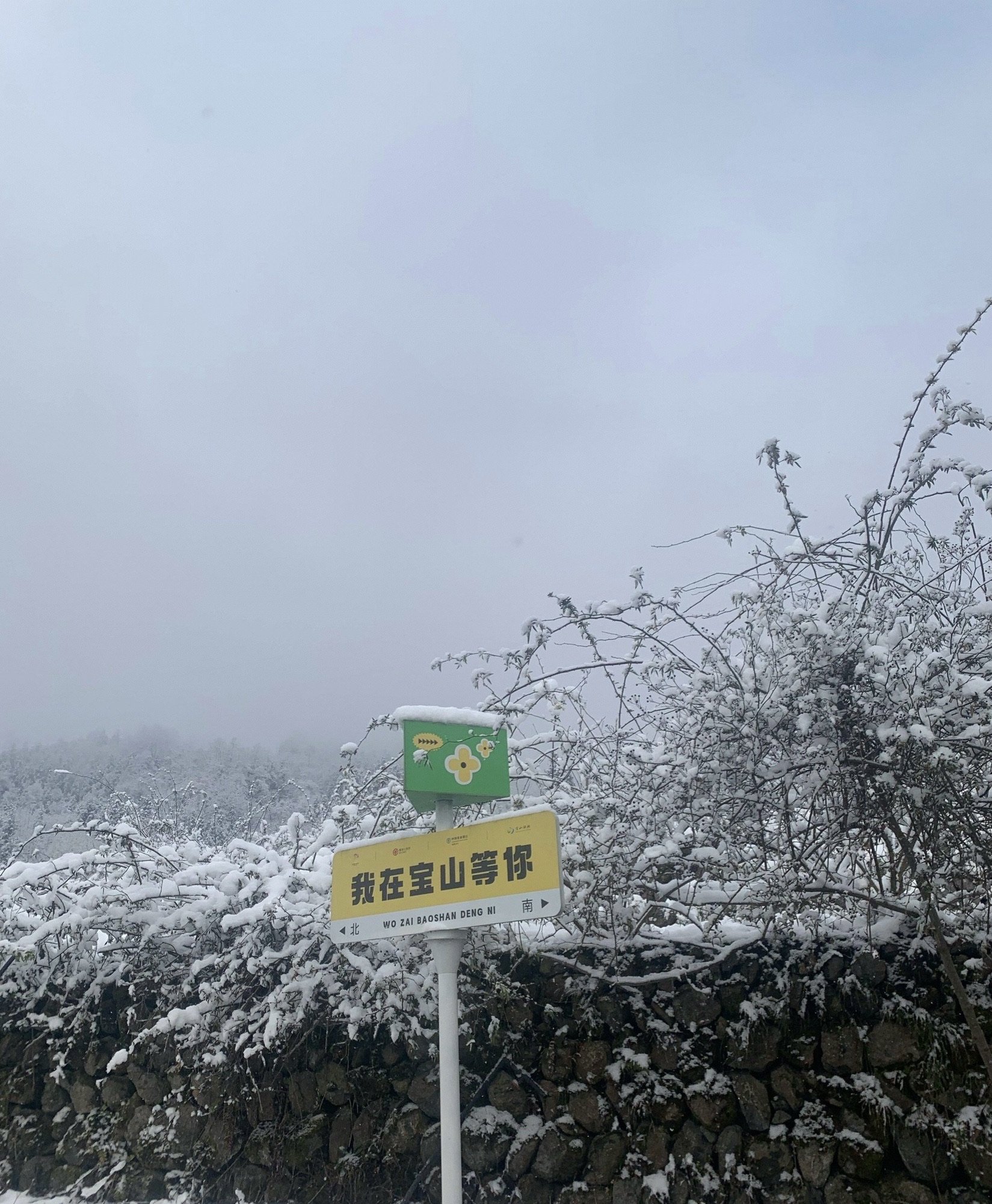 宝山旅游景区旅行图片 3