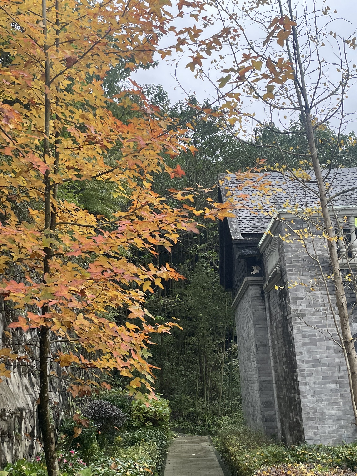 宝山旅游景区旅行图片 1