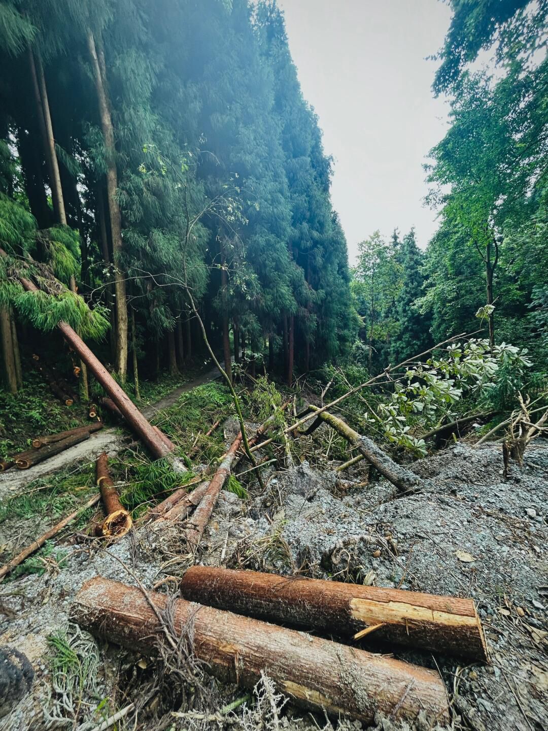 宝山旅游景区旅行图片 3