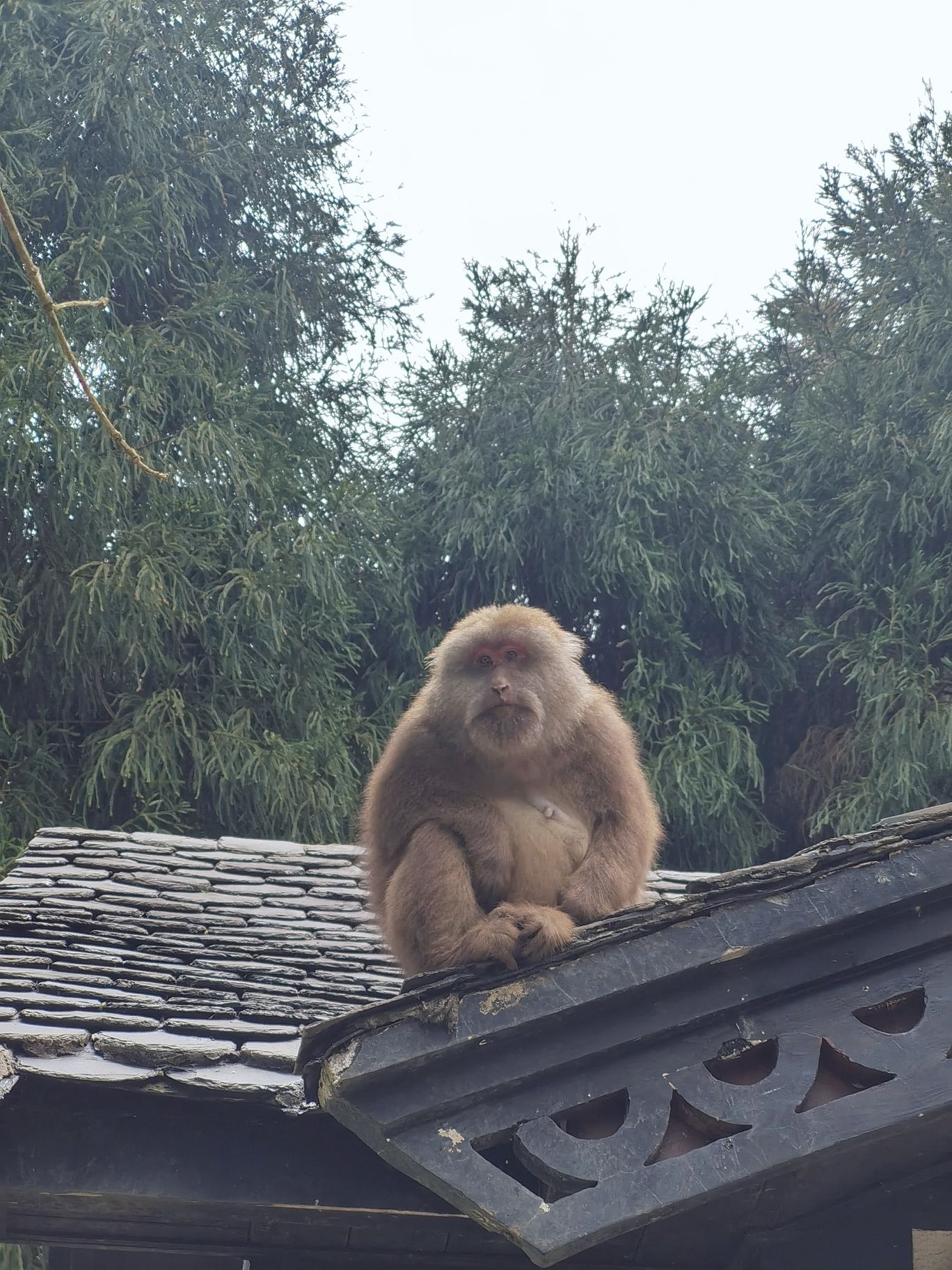 宝山旅游景区旅行图片 2
