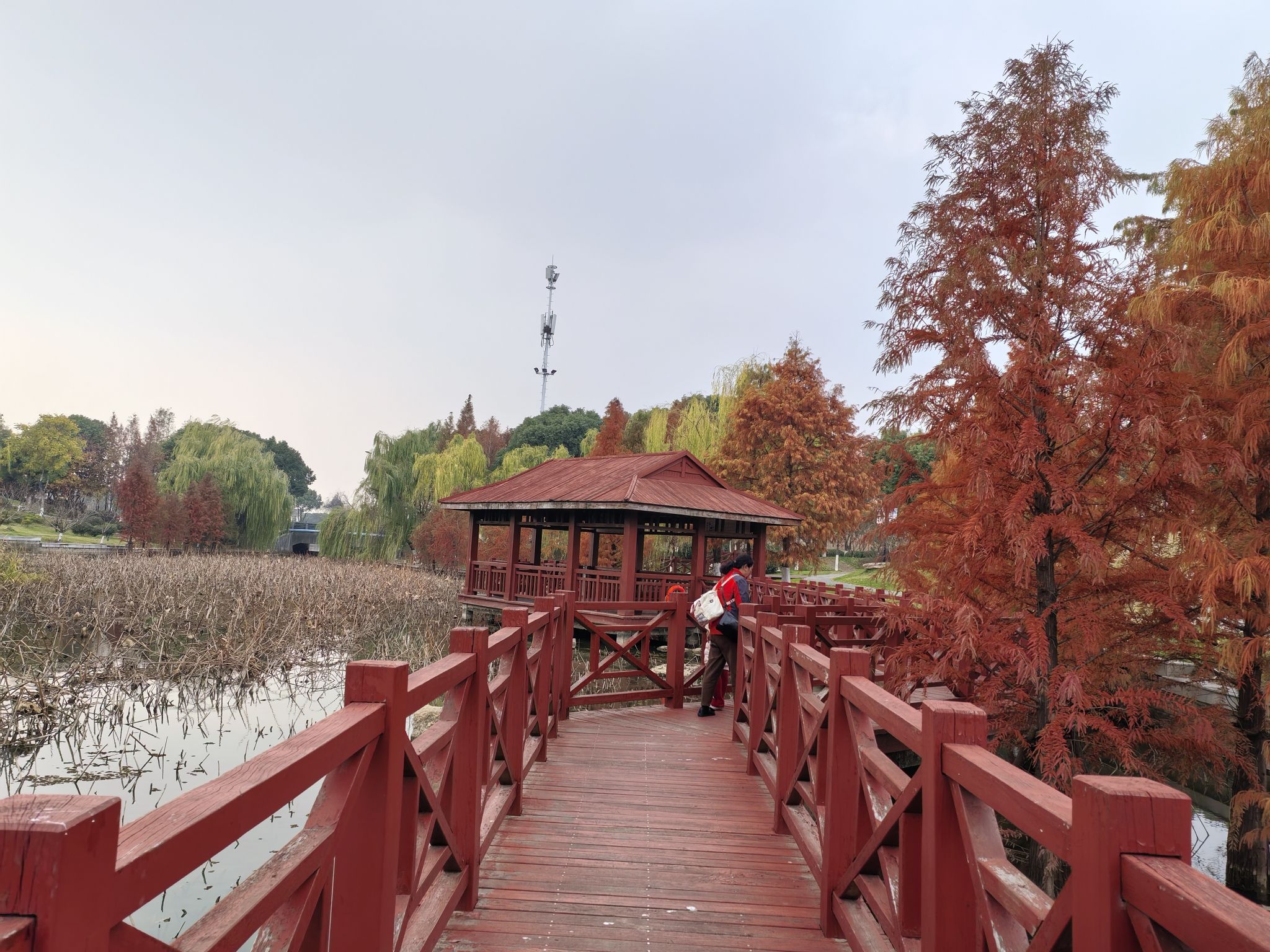新吴区双拥公园旅行图片 3