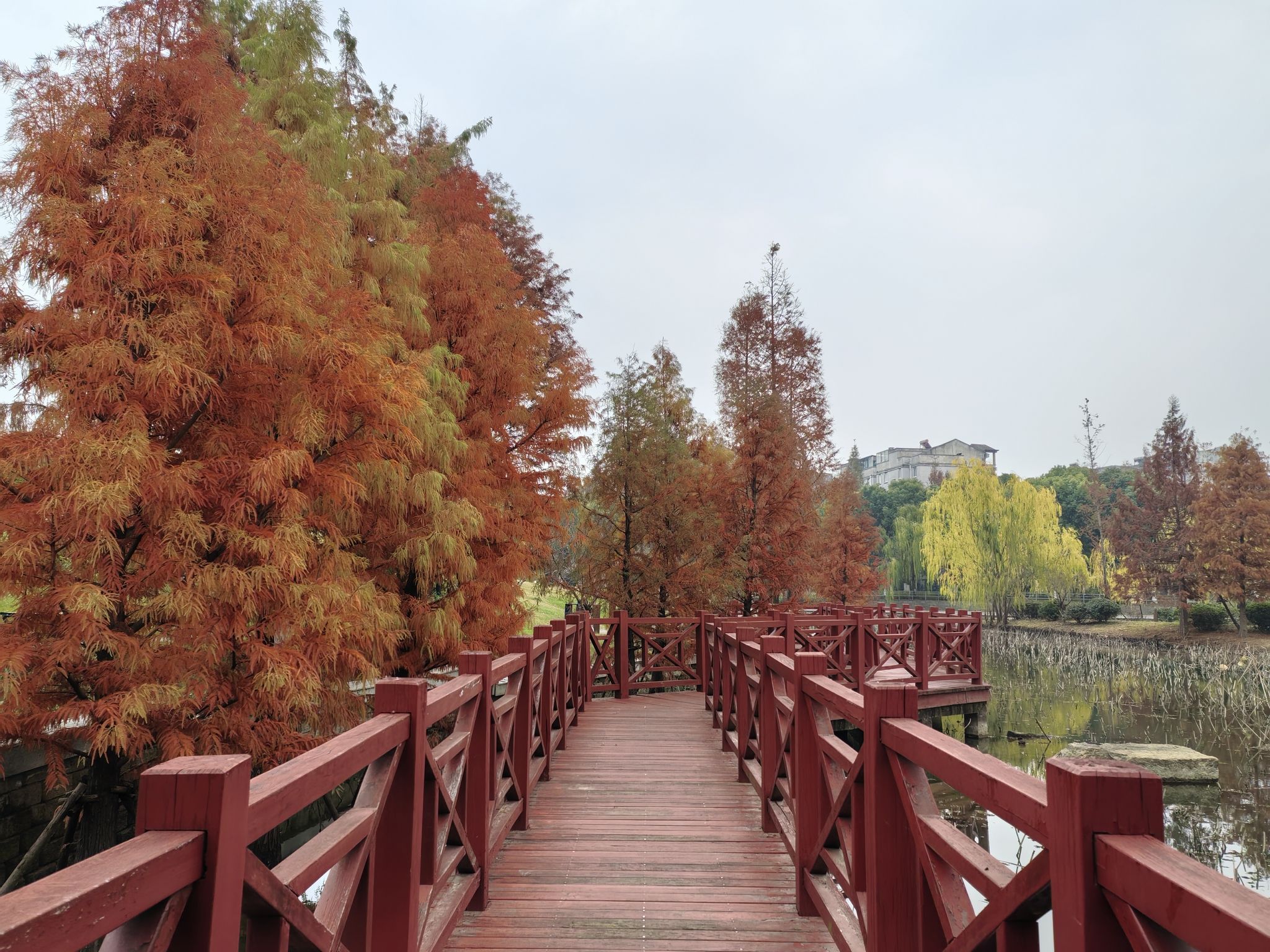 新吴区双拥公园旅行图片 2