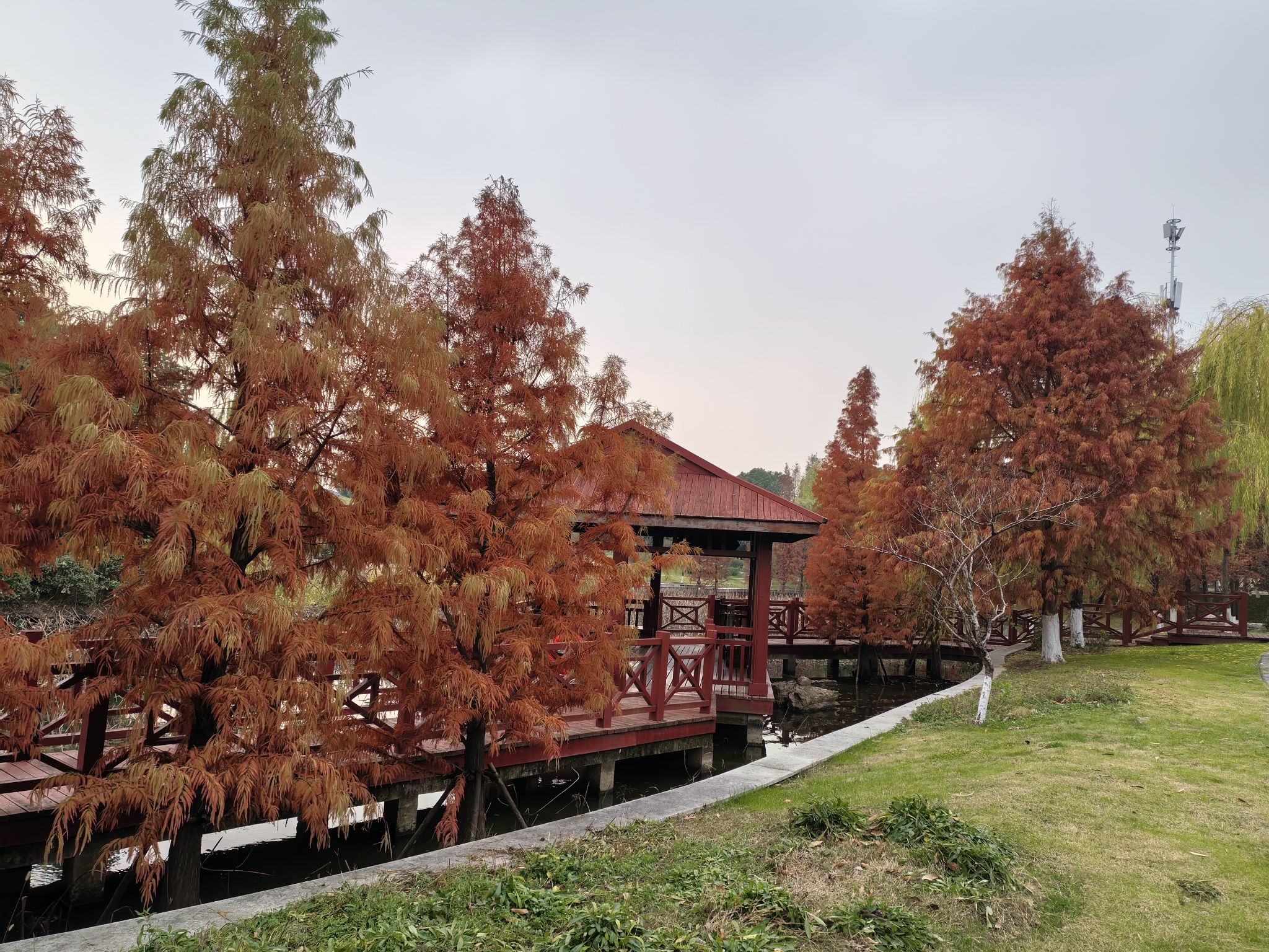 新吴区双拥公园旅行图片 1