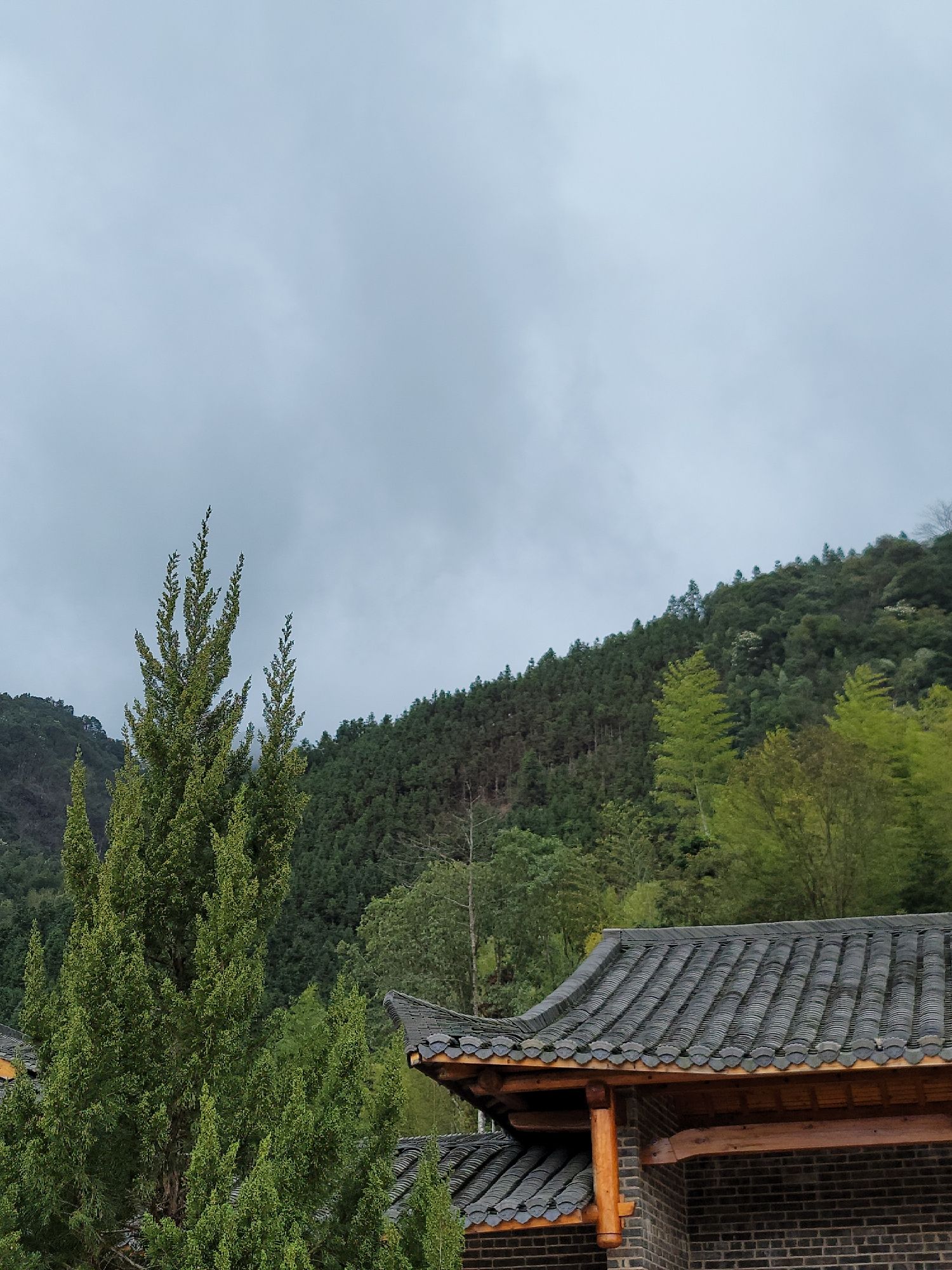 金台山布衣祠旅行图片 1